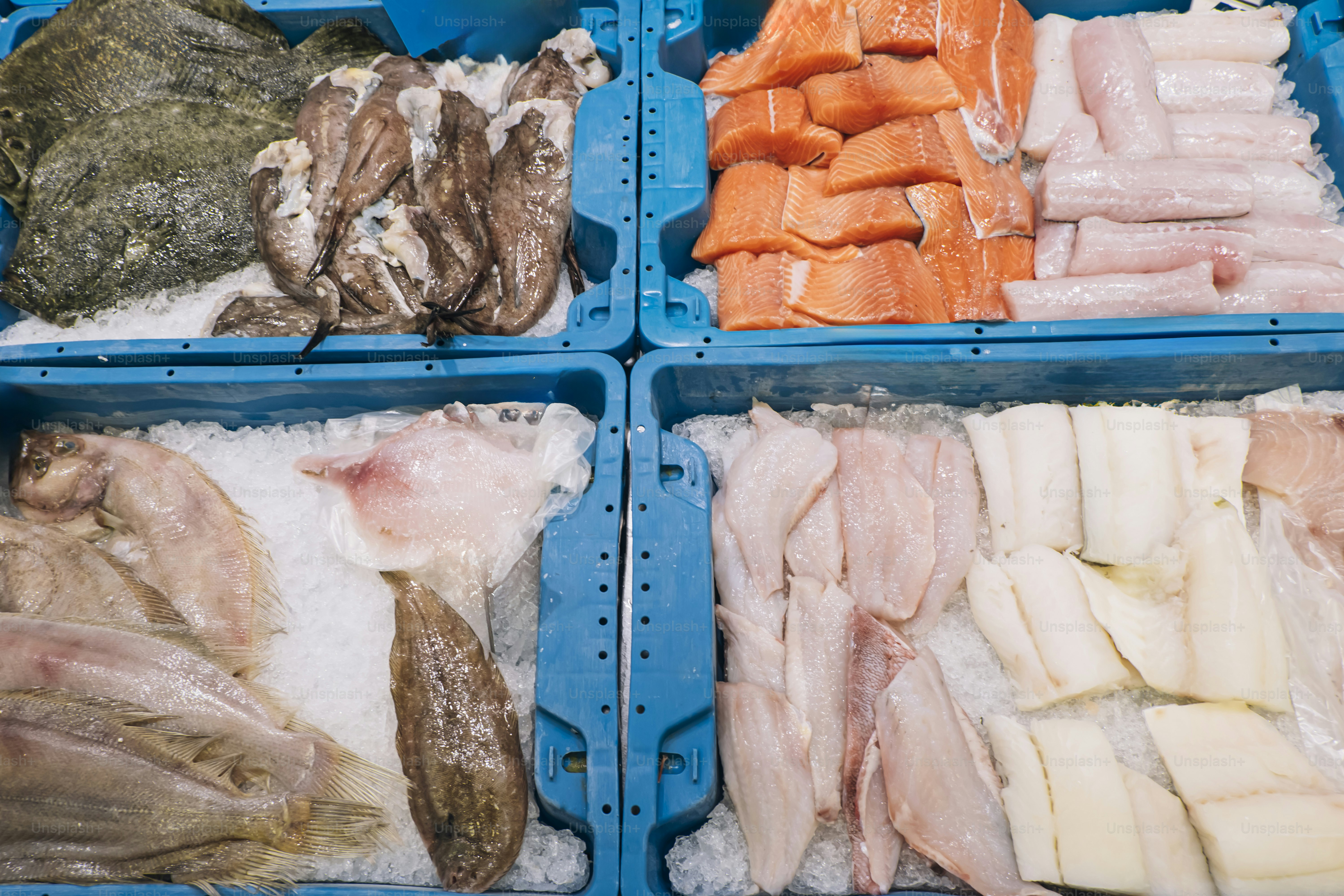 Assortment of fresh fish and seafood on ice