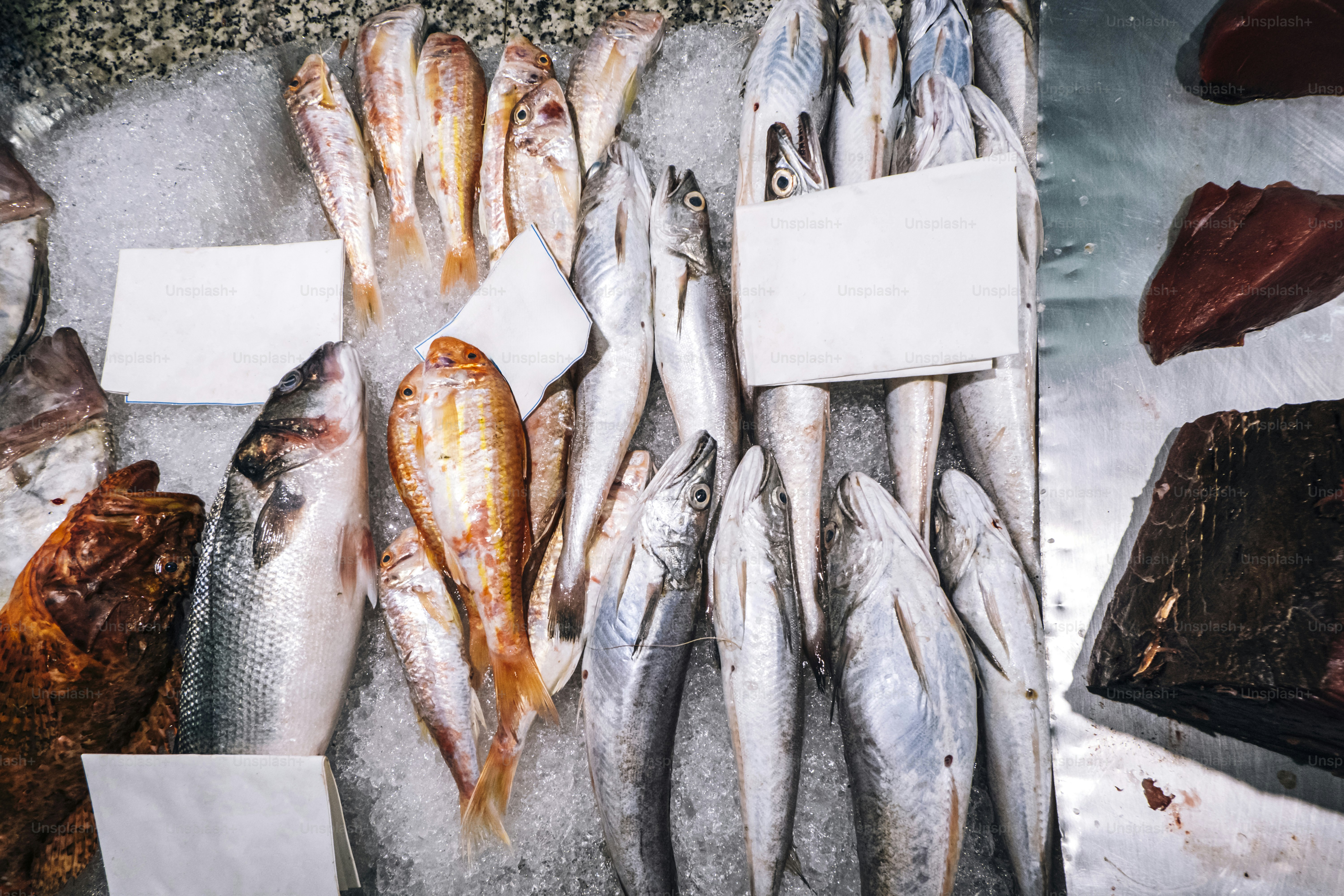 Ikan segar ditampilkan di atas es di pasar.