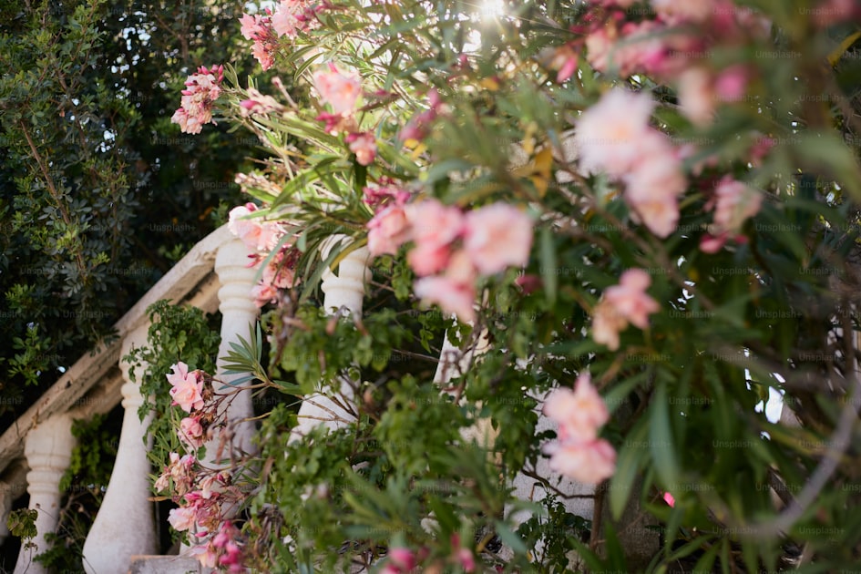 Matrimonio all'aperto in estate con luci e giardino al tramonto