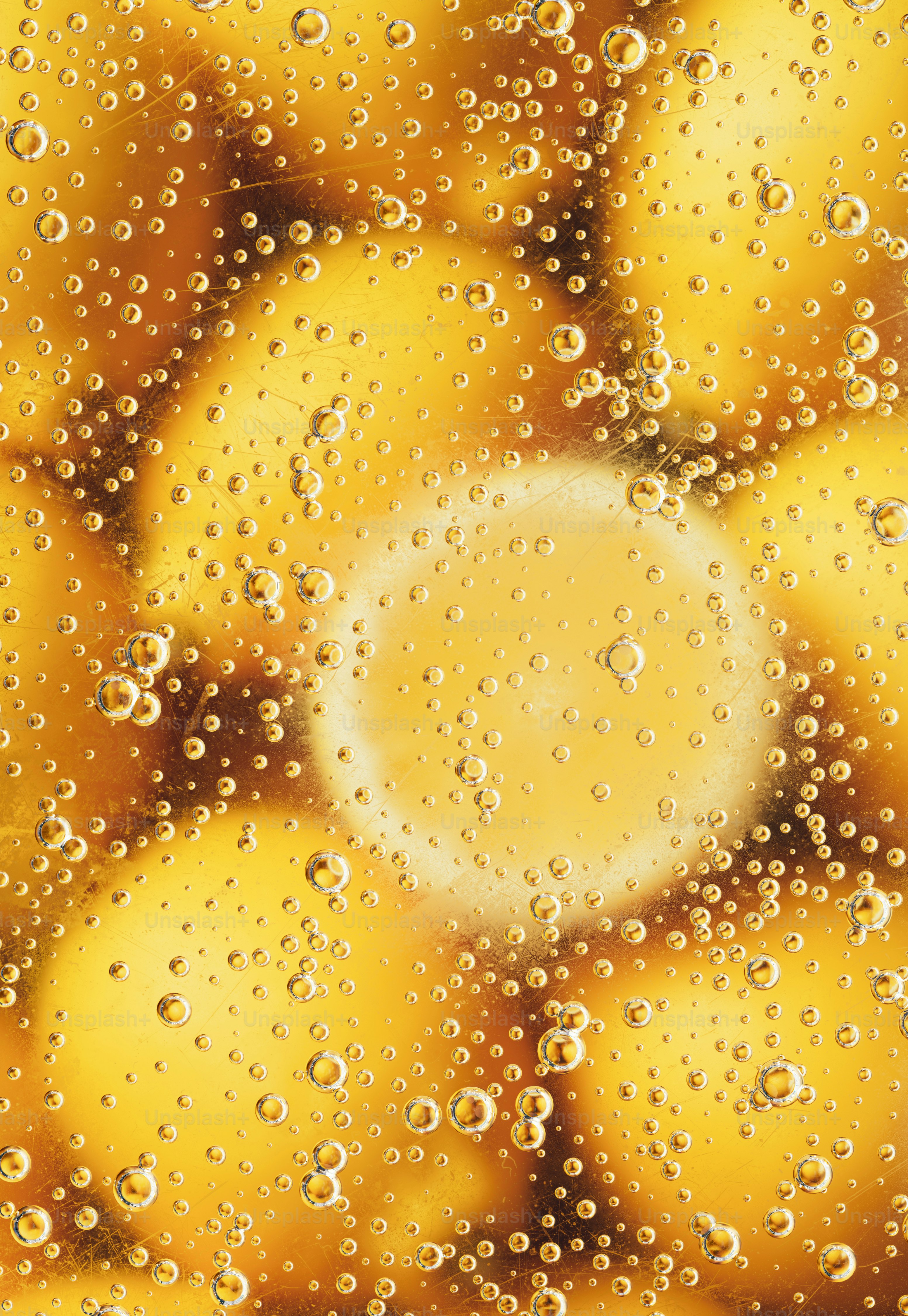 Lemon slices submerged in bubbly liquid
