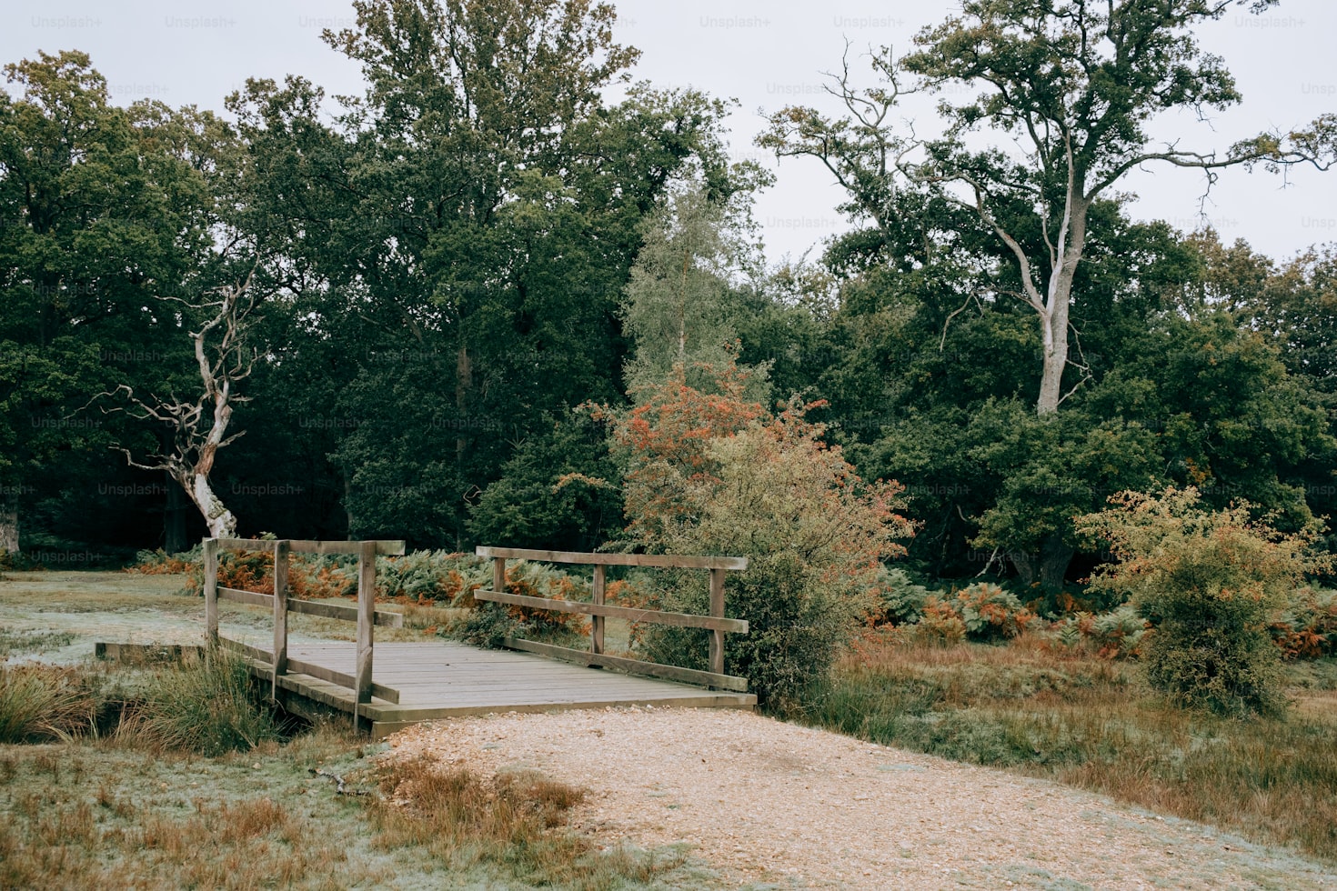 VideoAuto-R1——按需推理的视频理解框架