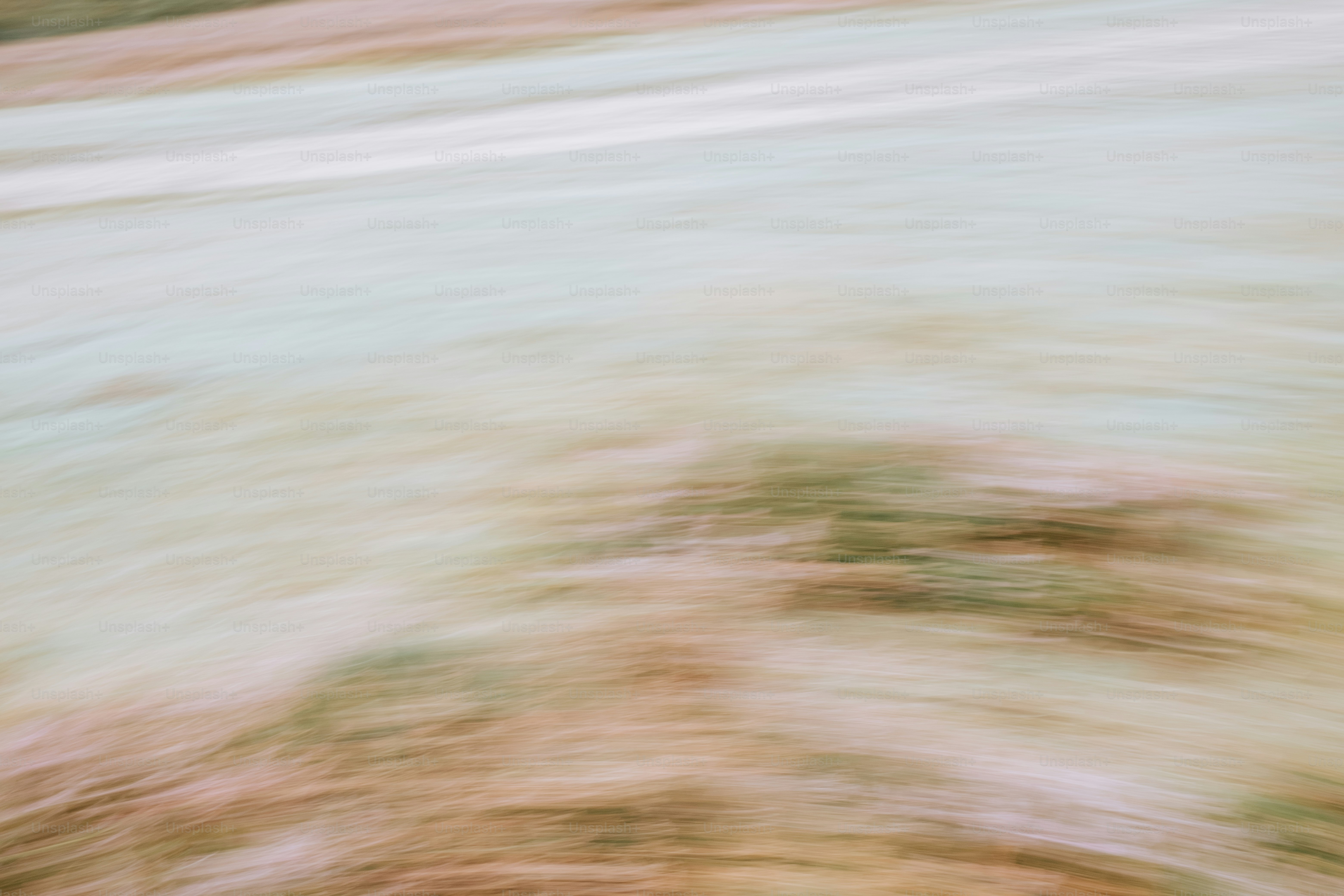 Abstract motion blur of natural landscape elements