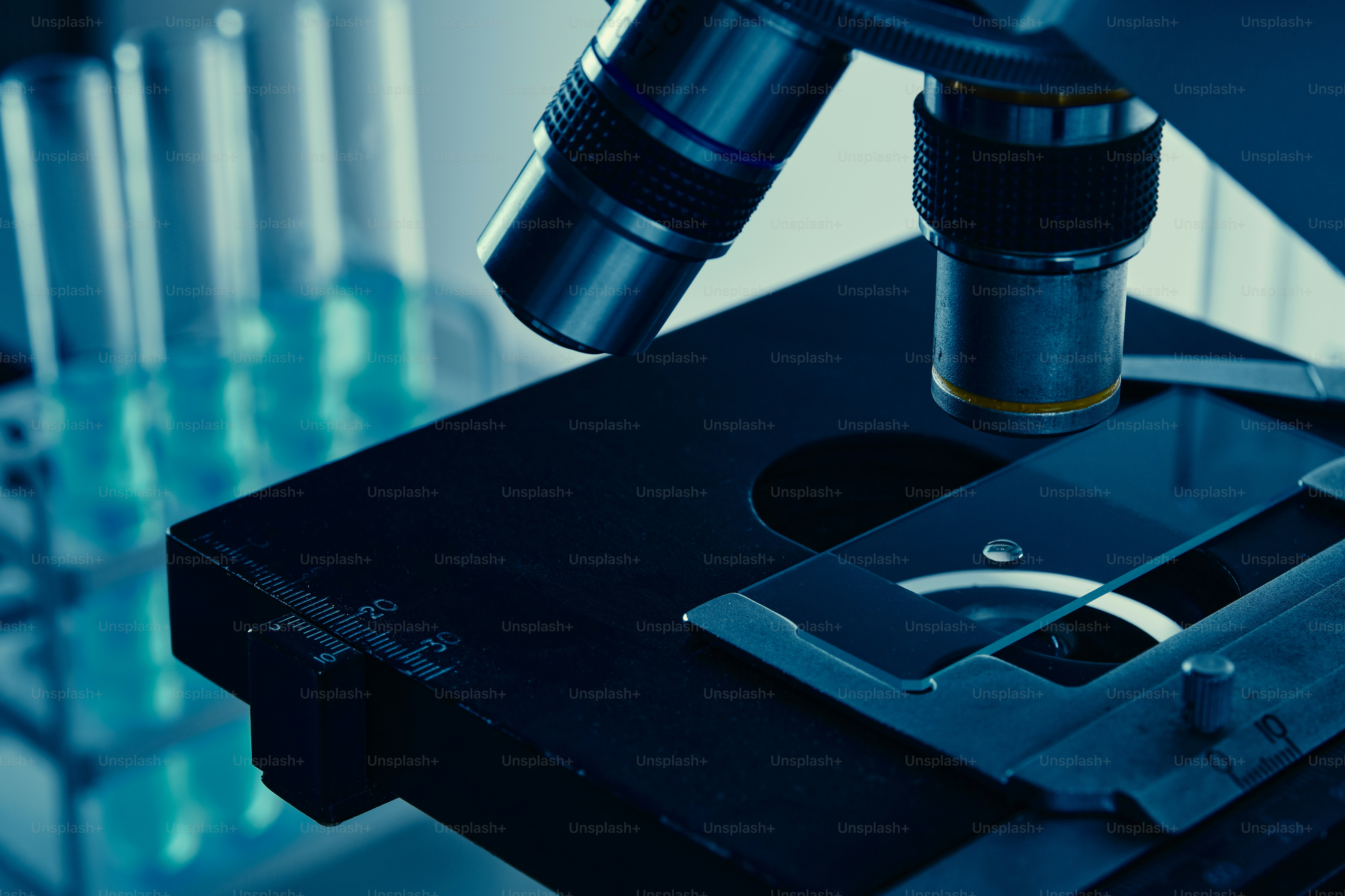 Two scientists looking through microscopes in laboratory photo ...