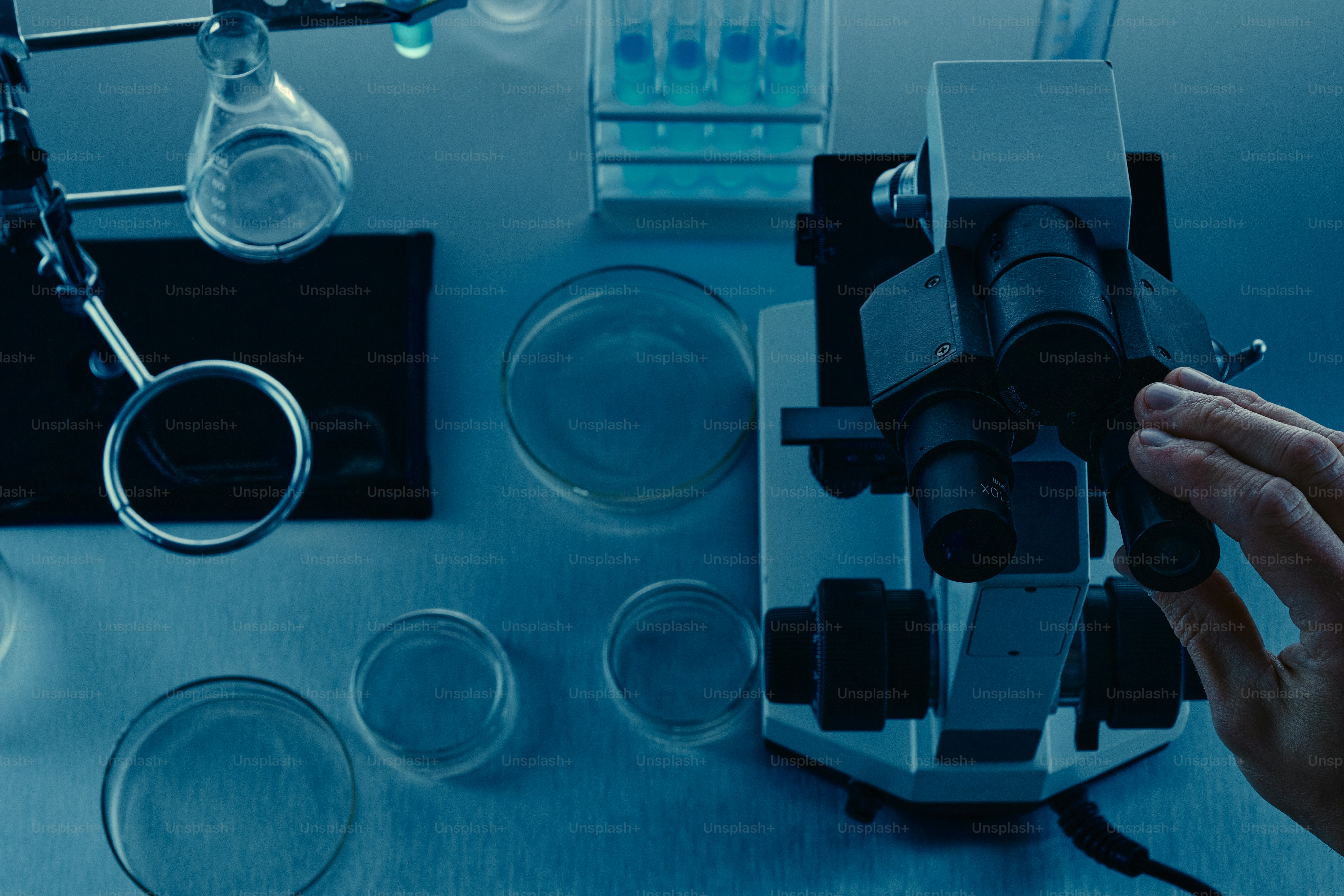 Two scientists looking through microscopes in laboratory photo ...