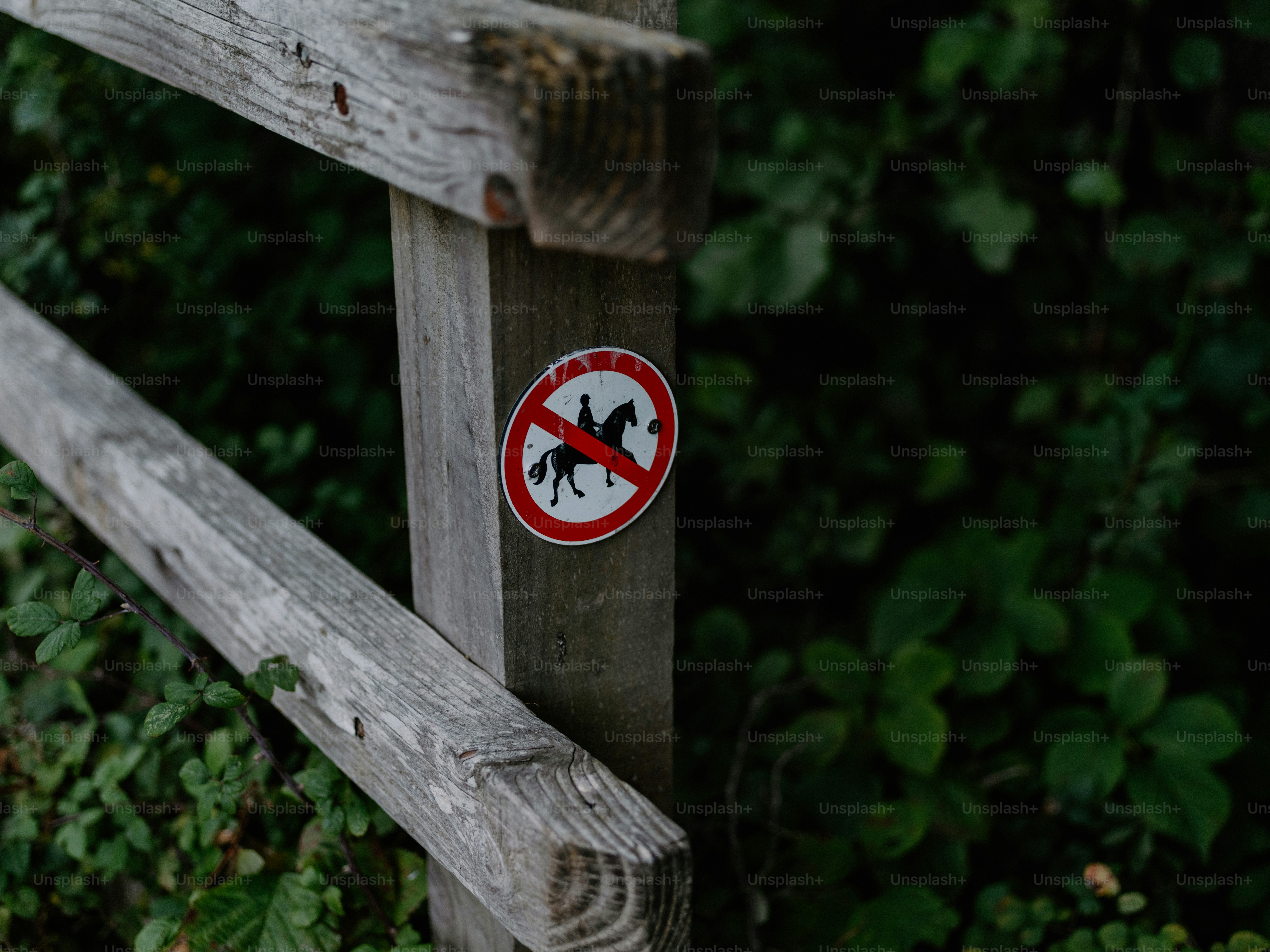 No horses allowed sign on wooden fence