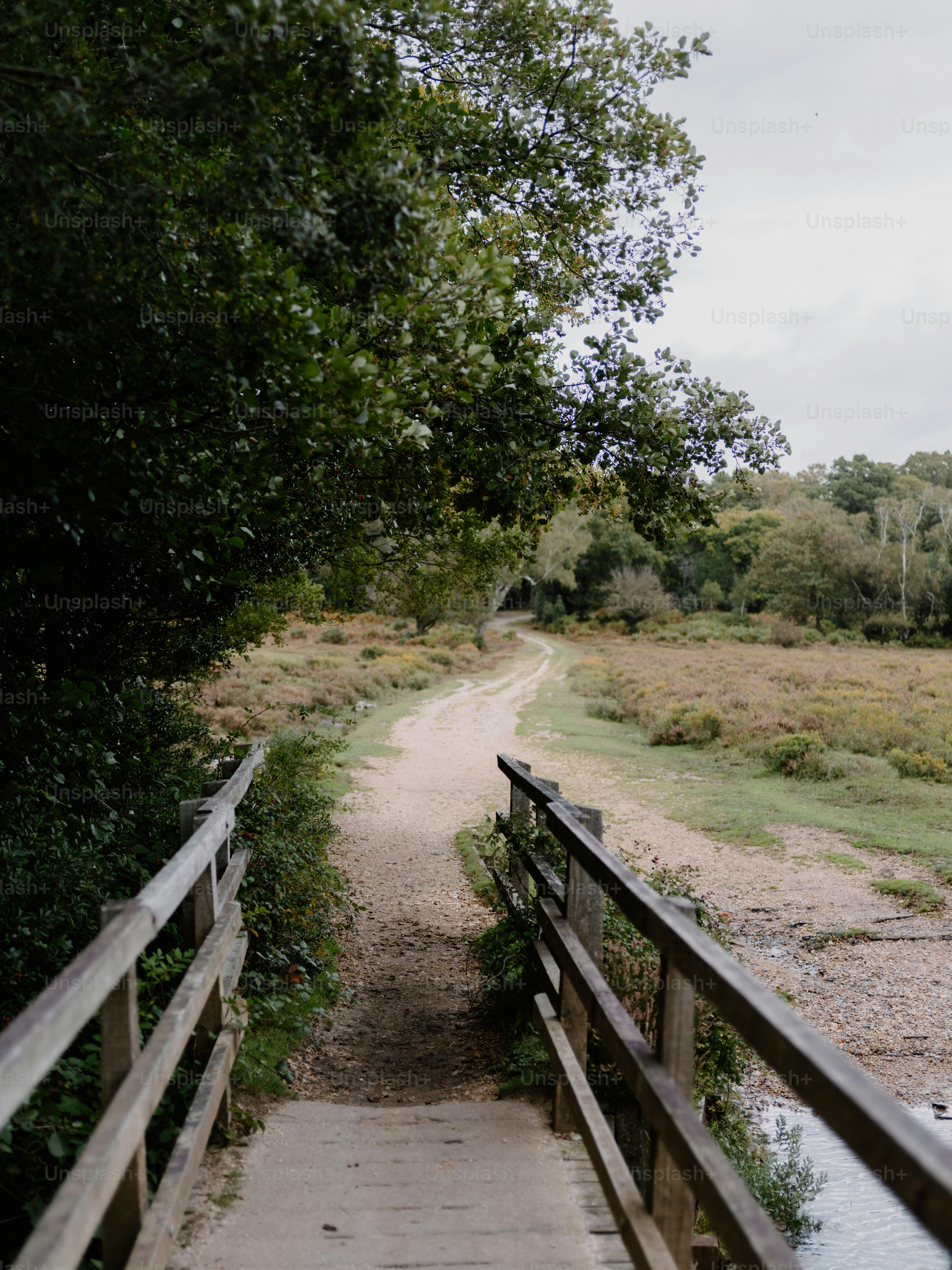 Wooden bridge over a path in a forest