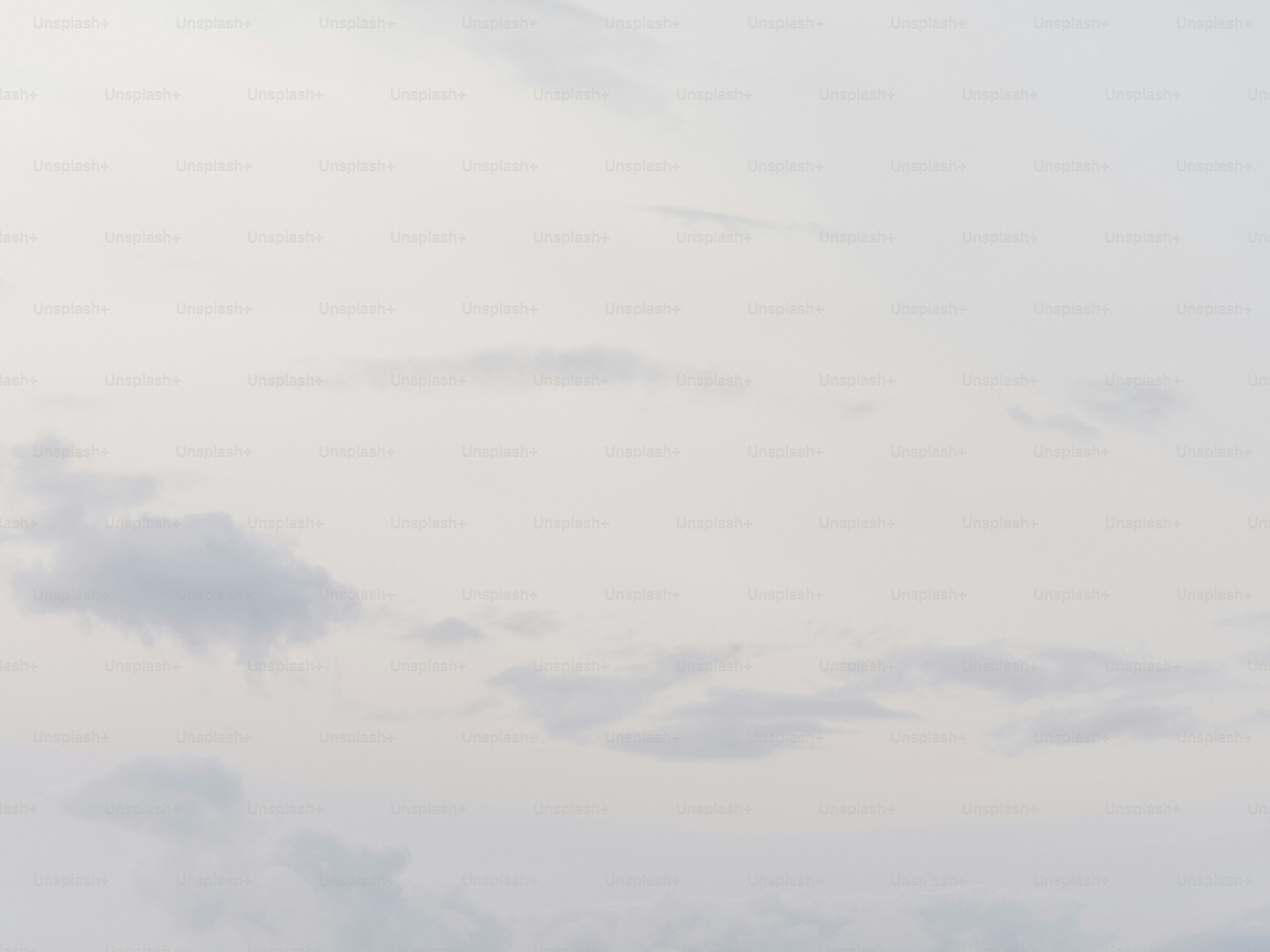 premium_photo-1758111225849-9af7116f9942