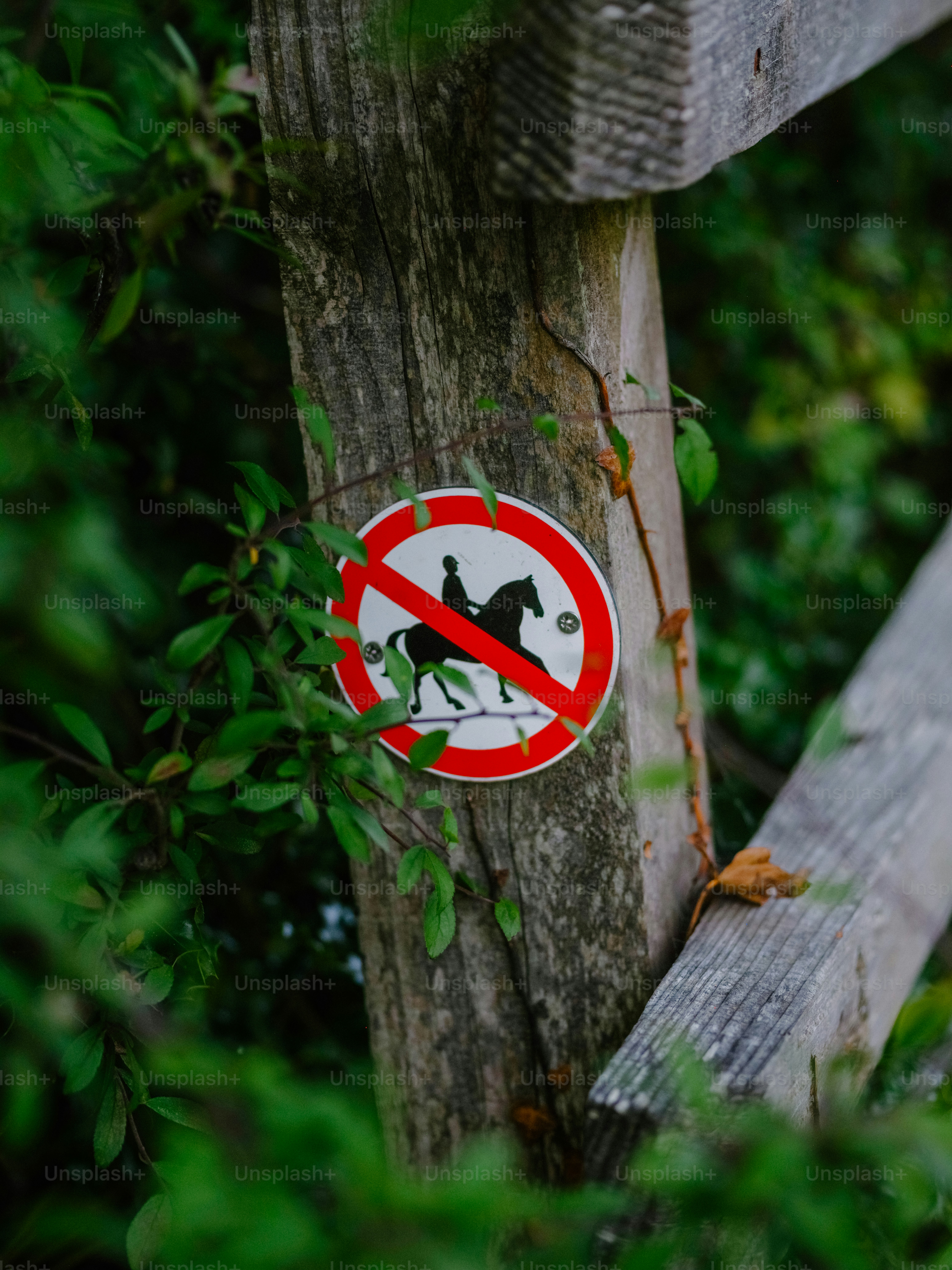 No horseback riding sign on a wooden fence.