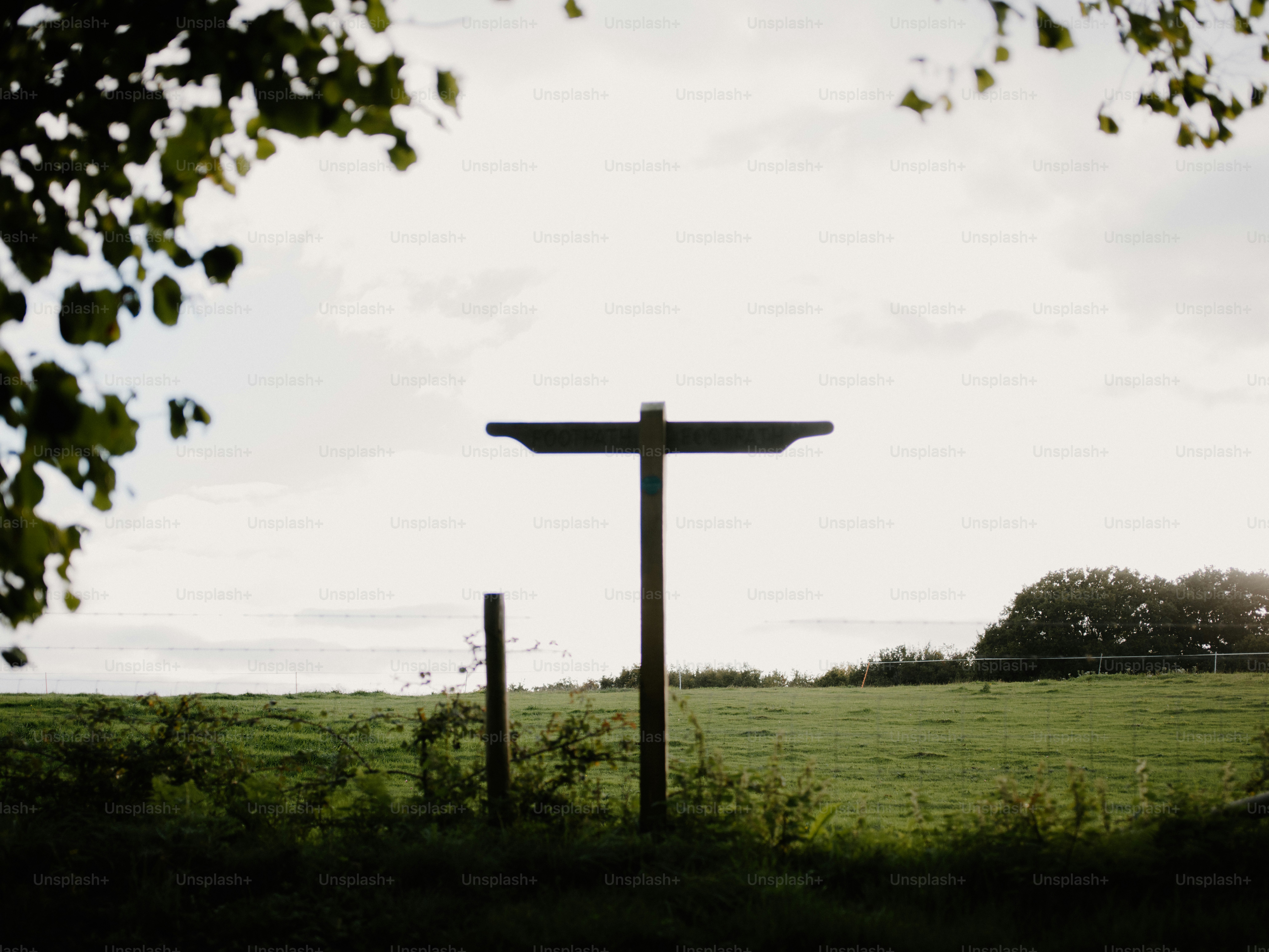 Holzweiser auf grüner Wiese unter bewölktem Himmel