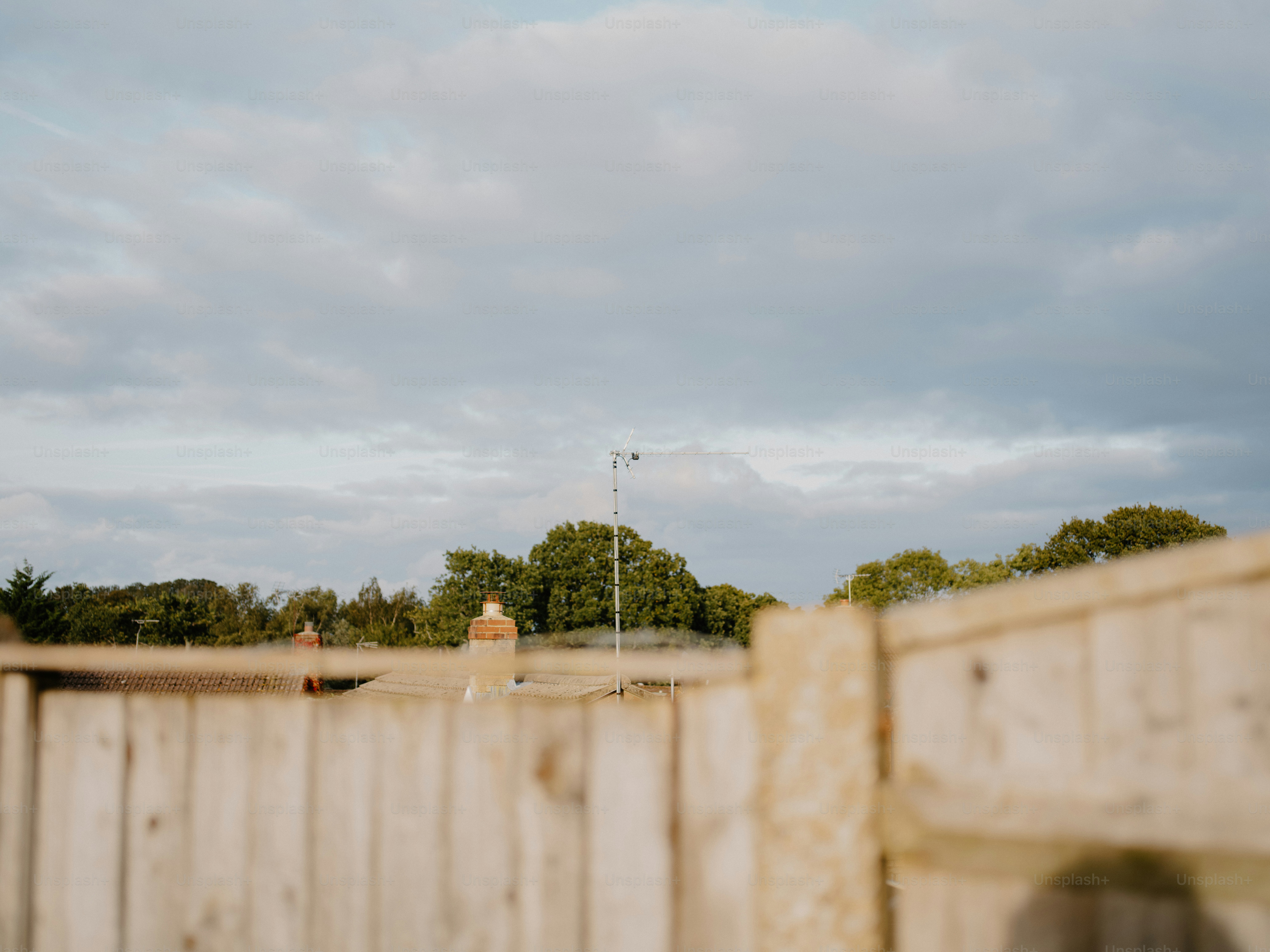 Persone che camminano su un campo dietro una staccionata di legno.