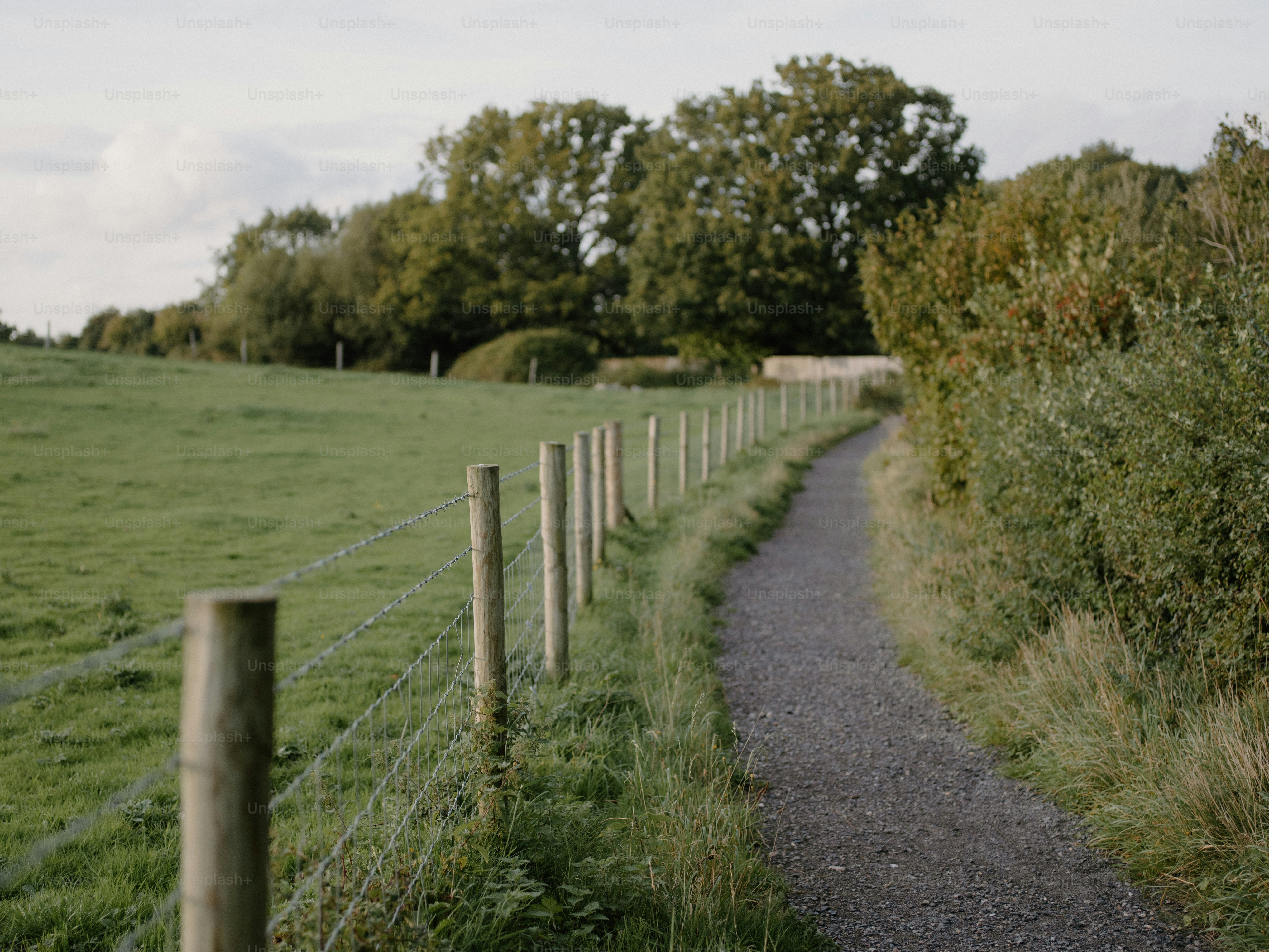 Gravel path lined with wooden fence posts leads through fields.
