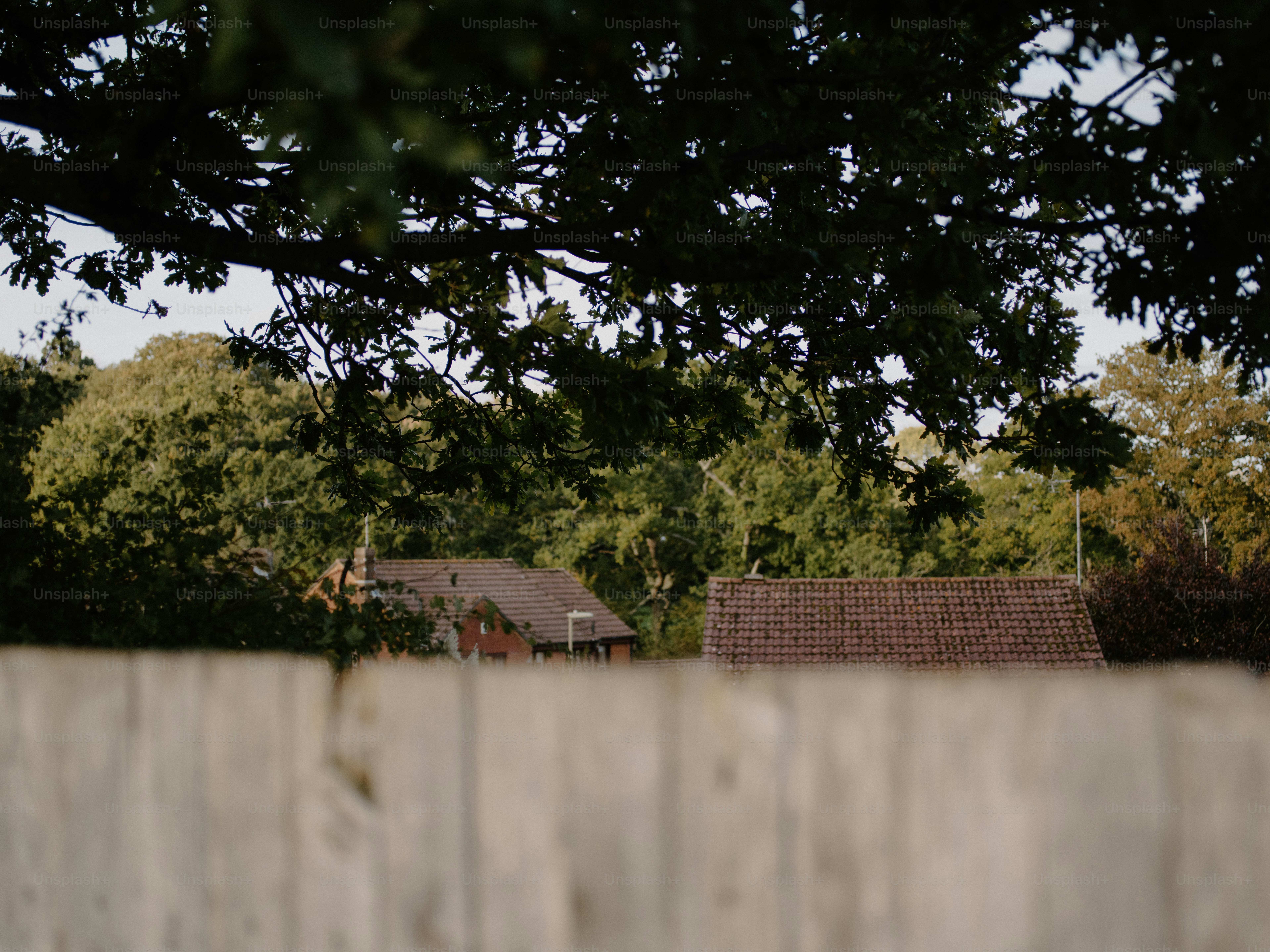 Wooden fence with houses and trees beyond
