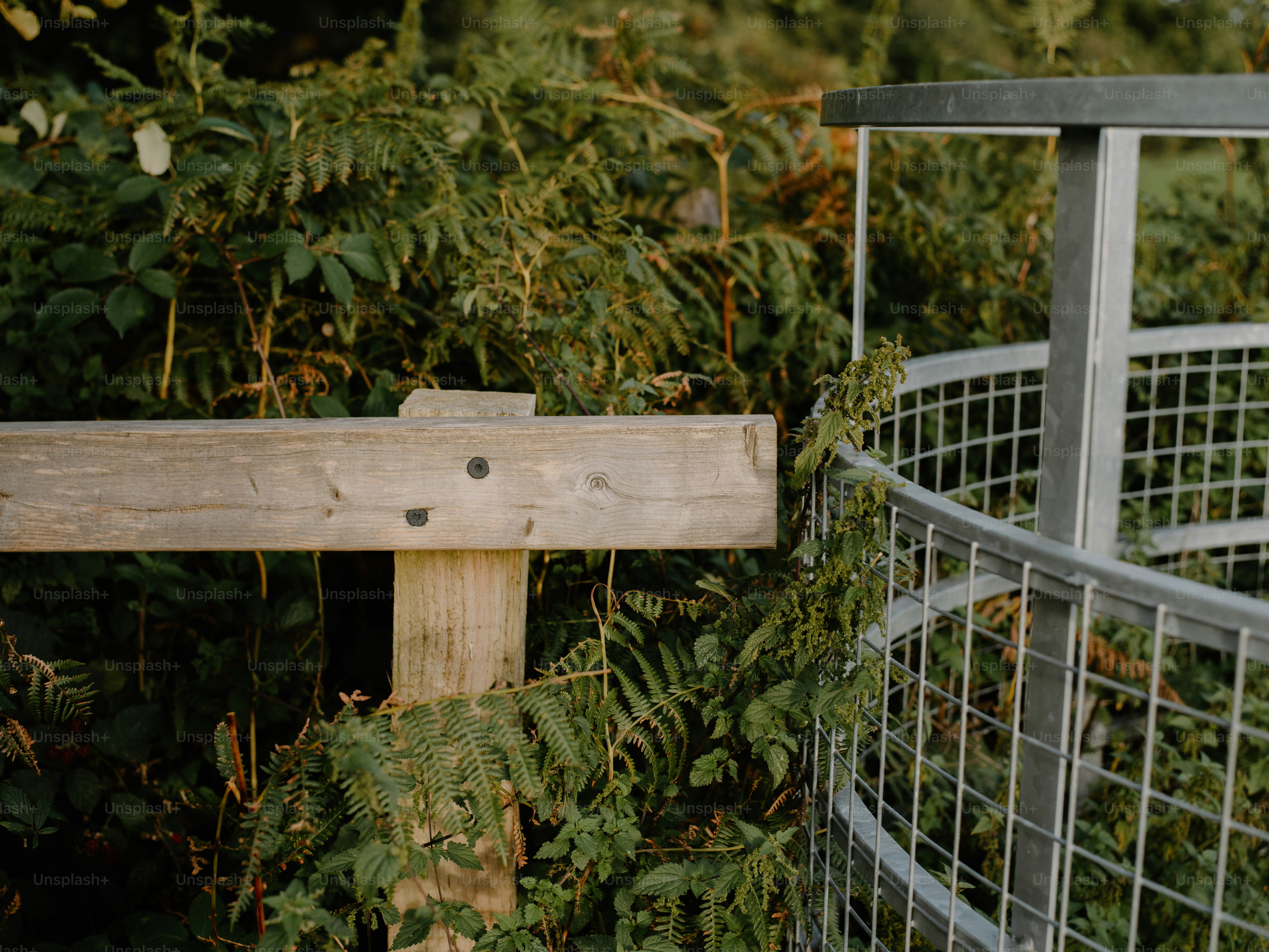 Wooden fence post with metal railing and foliage