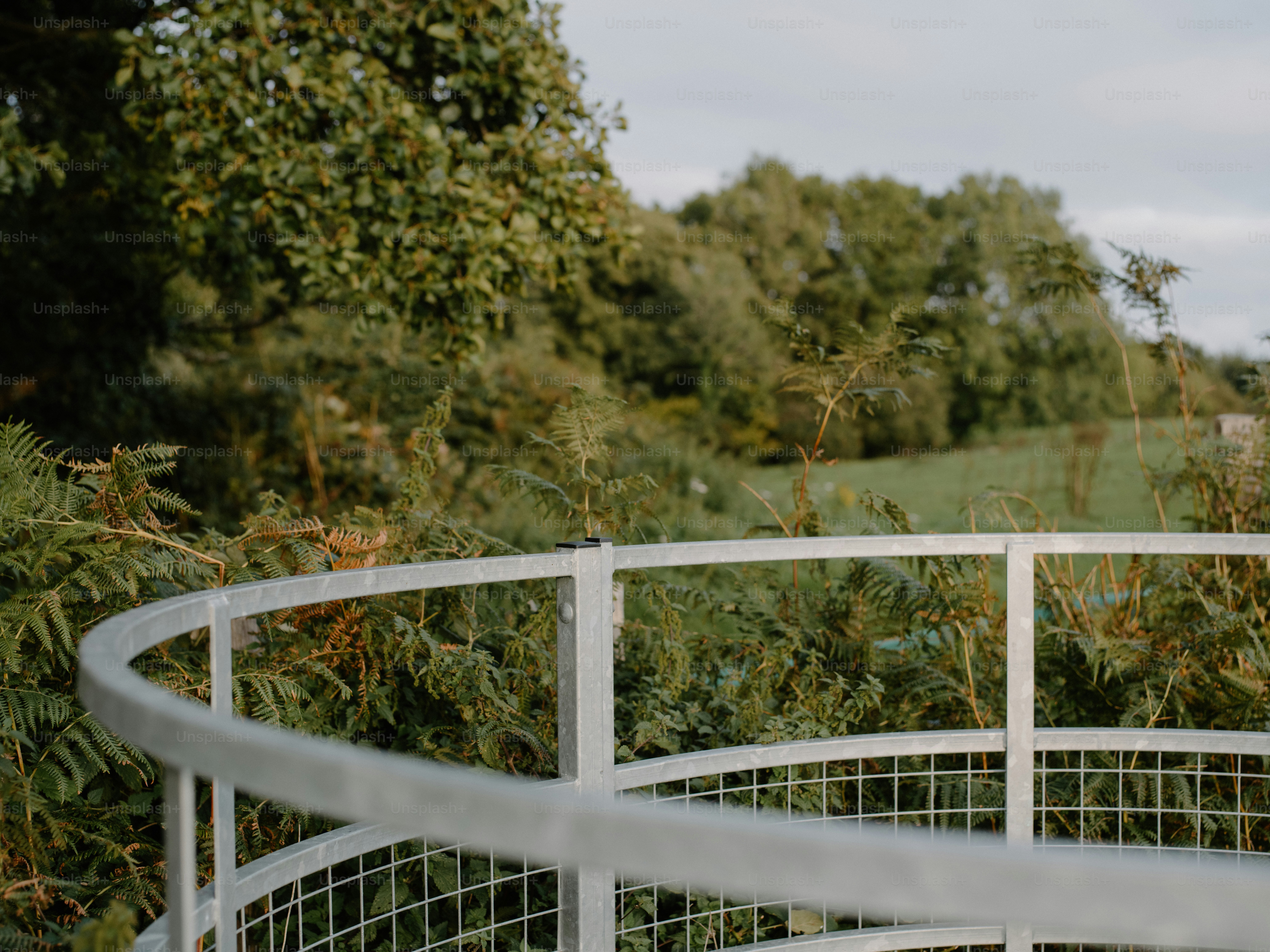La ringhiera in metallo curvo si affaccia su alberi verdi lussureggianti
