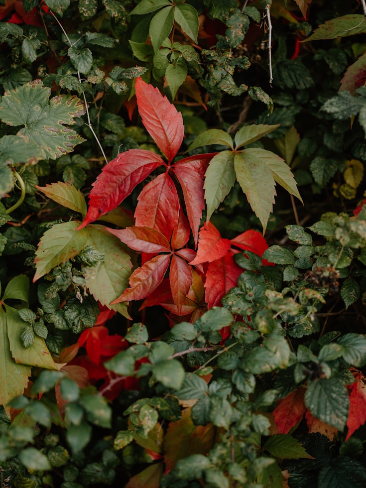 Rain Magazine Coverstory