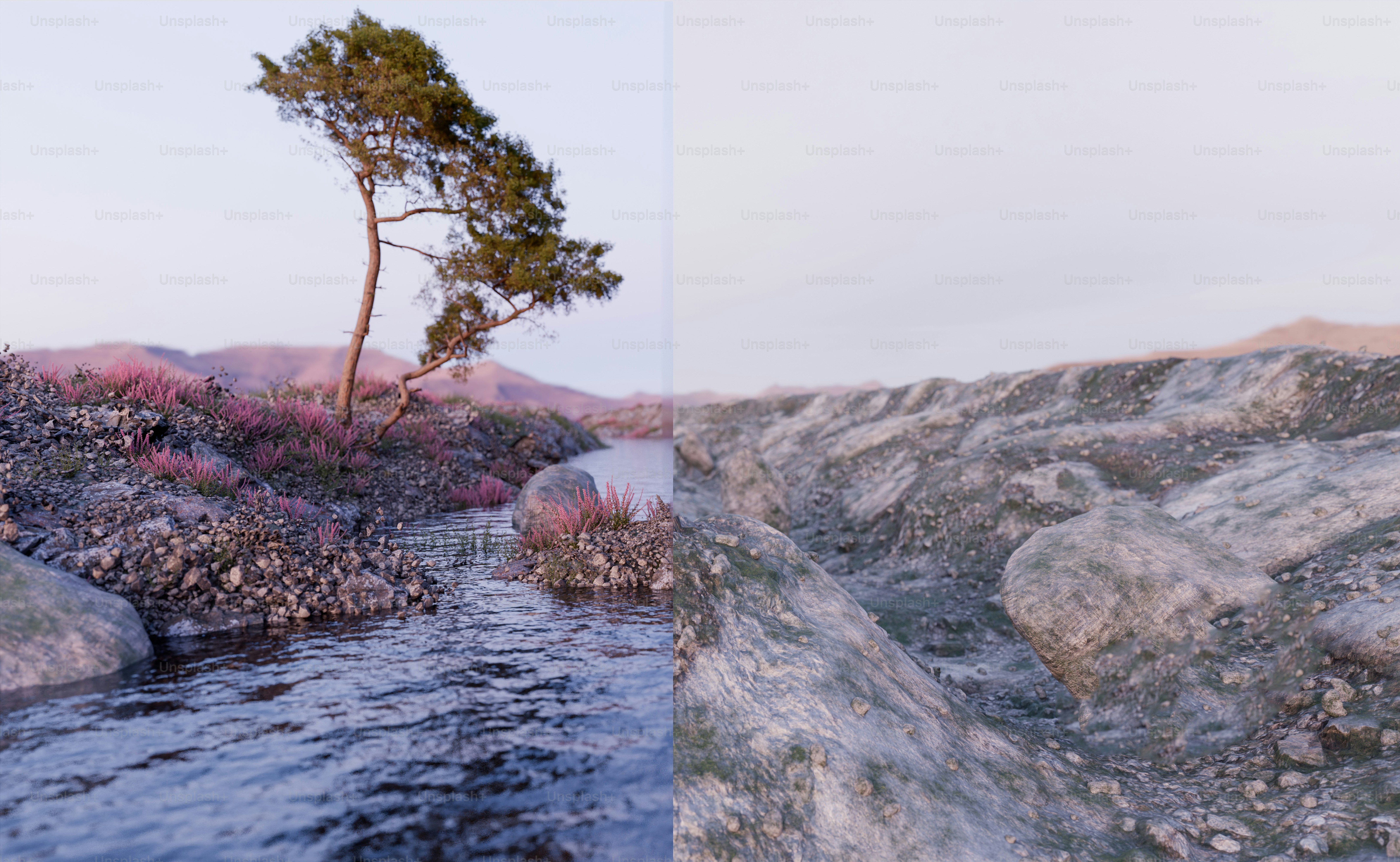 A split view of a stream and rocky landscape.
