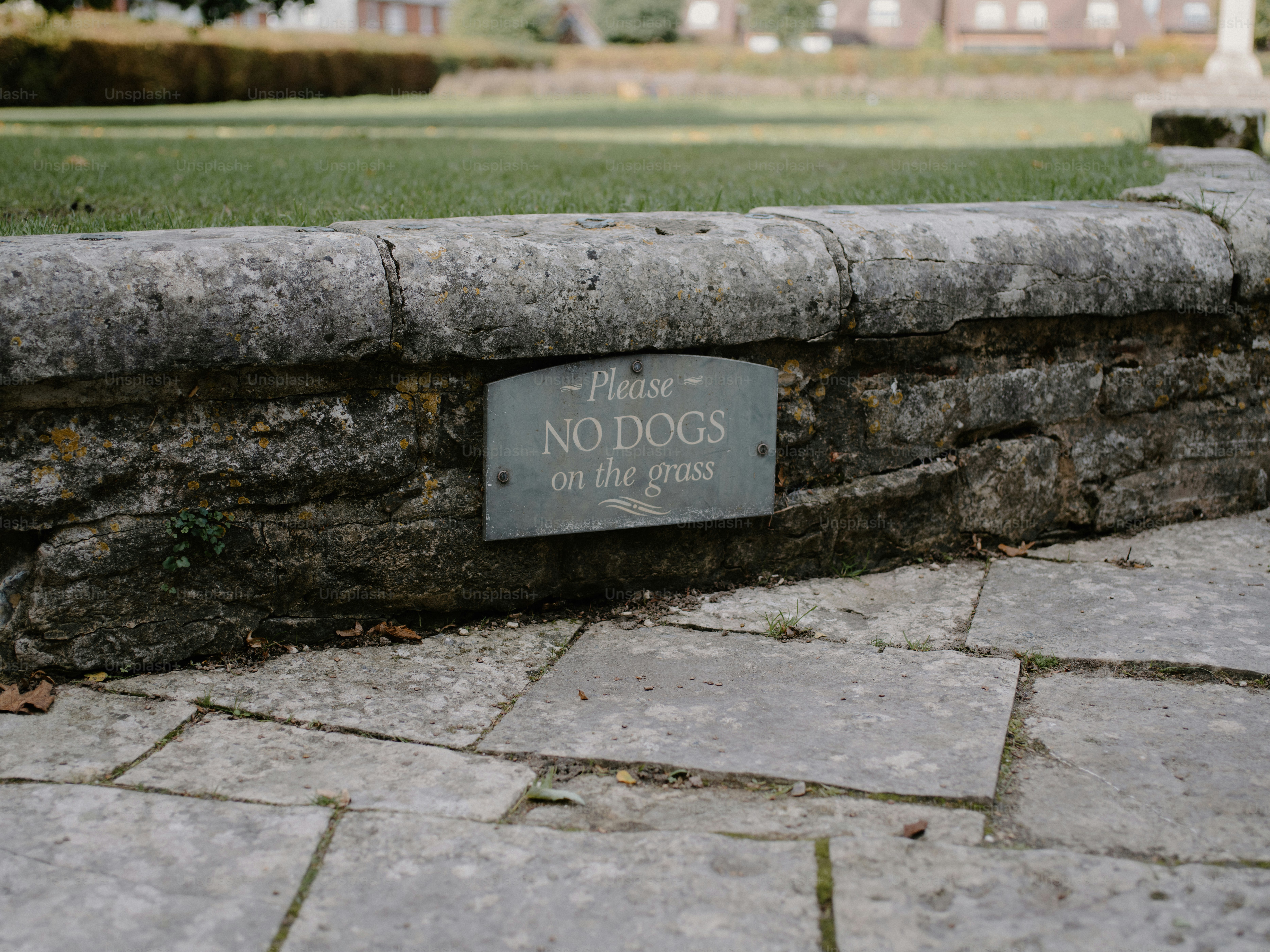 Cartello con la scritta "per favore niente cani sull'erba"
