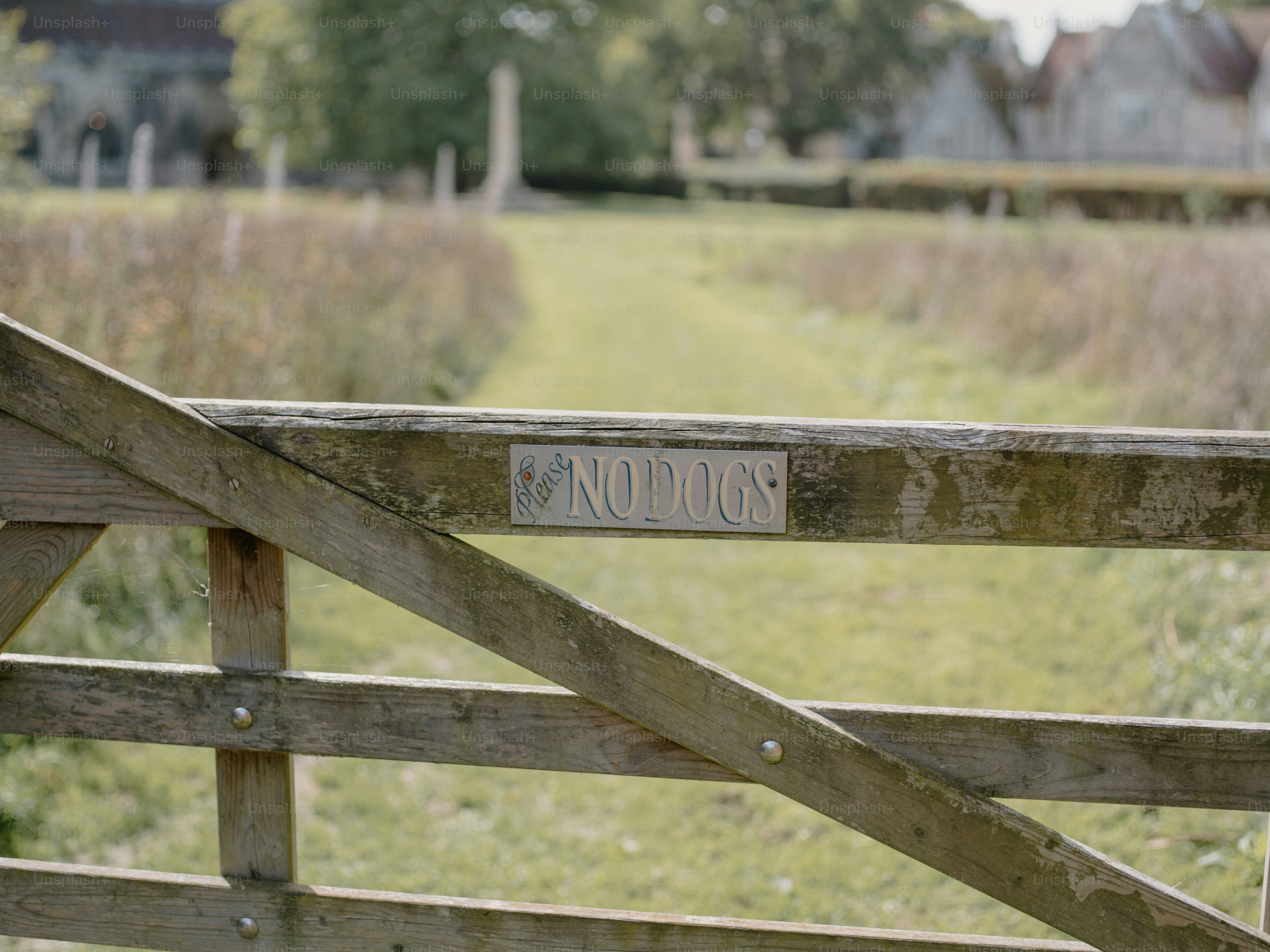Puerta de madera con letrero de "no perros" en un campo de hierba.