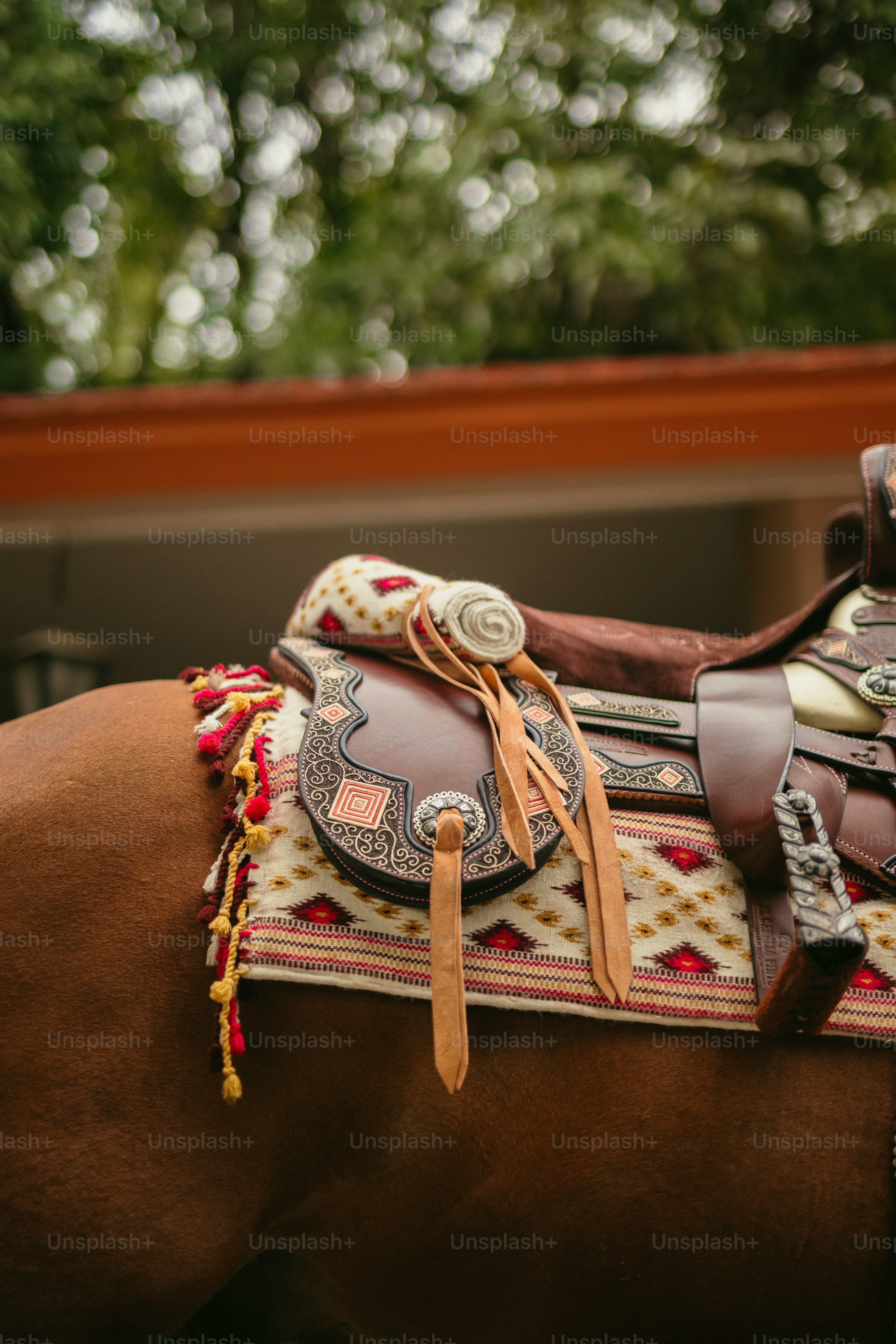 Ornate saddle on a brown horse's back