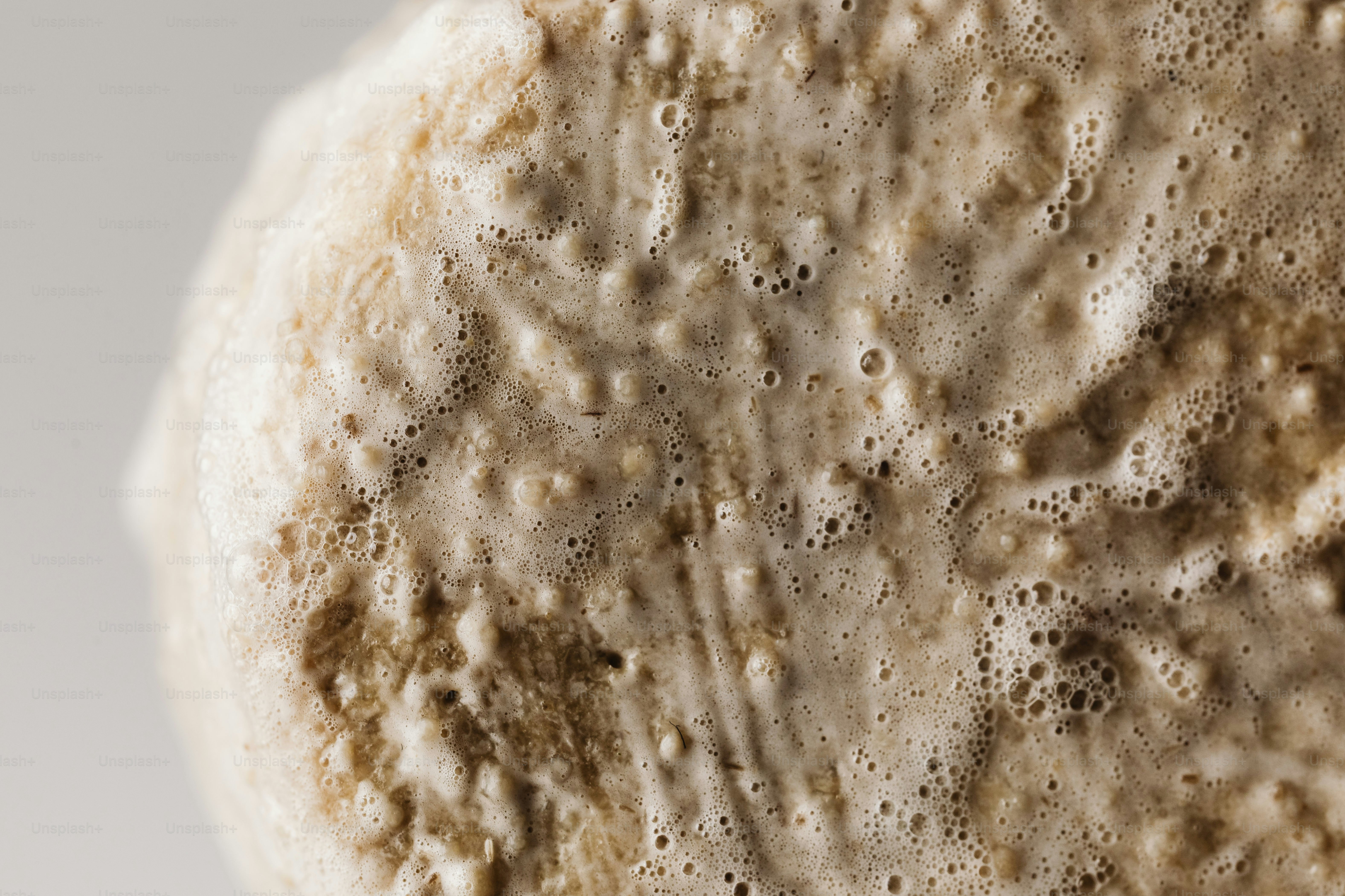 Close-up of a textured, bubbly surface