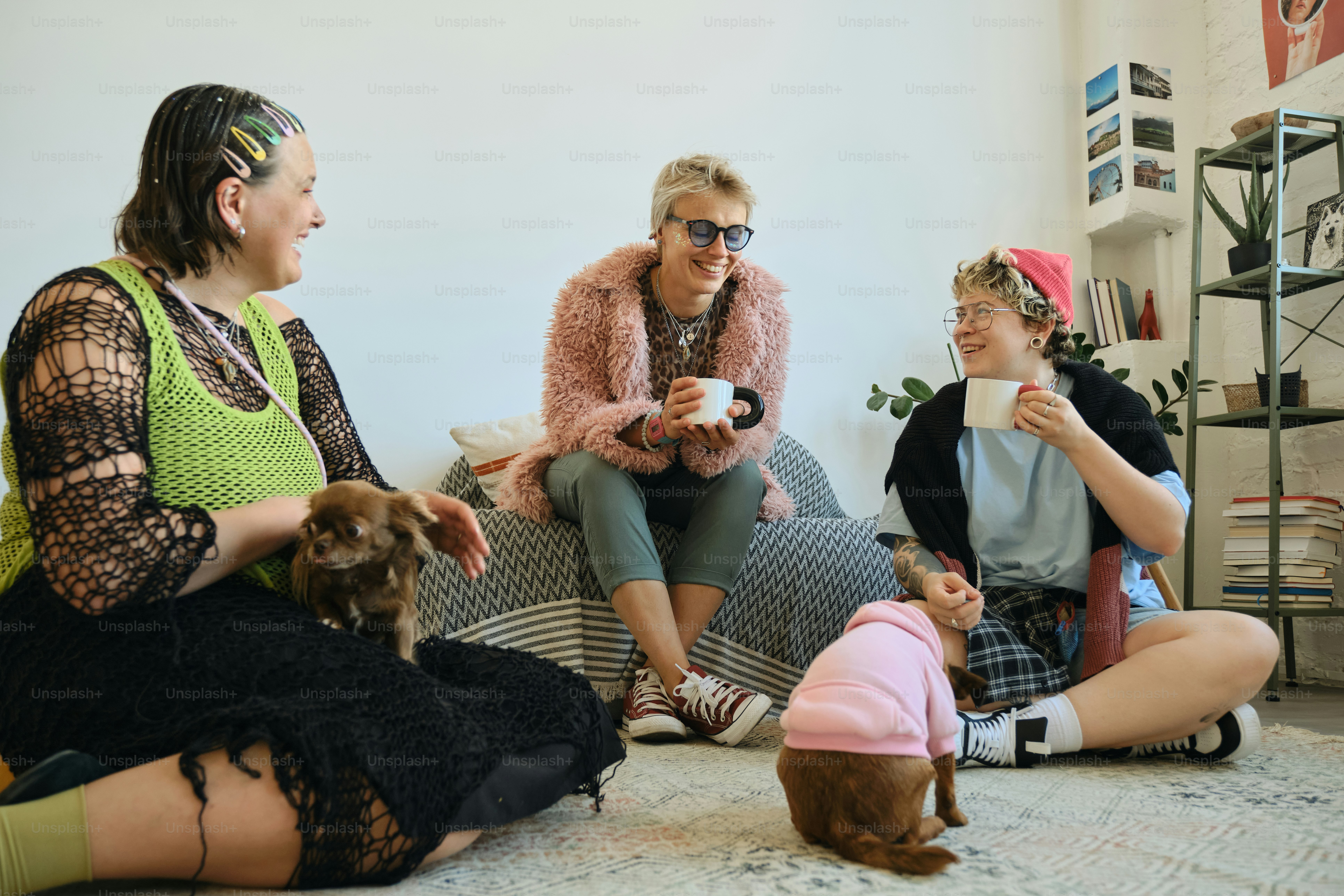 Three women and two small dogs chatting indoors