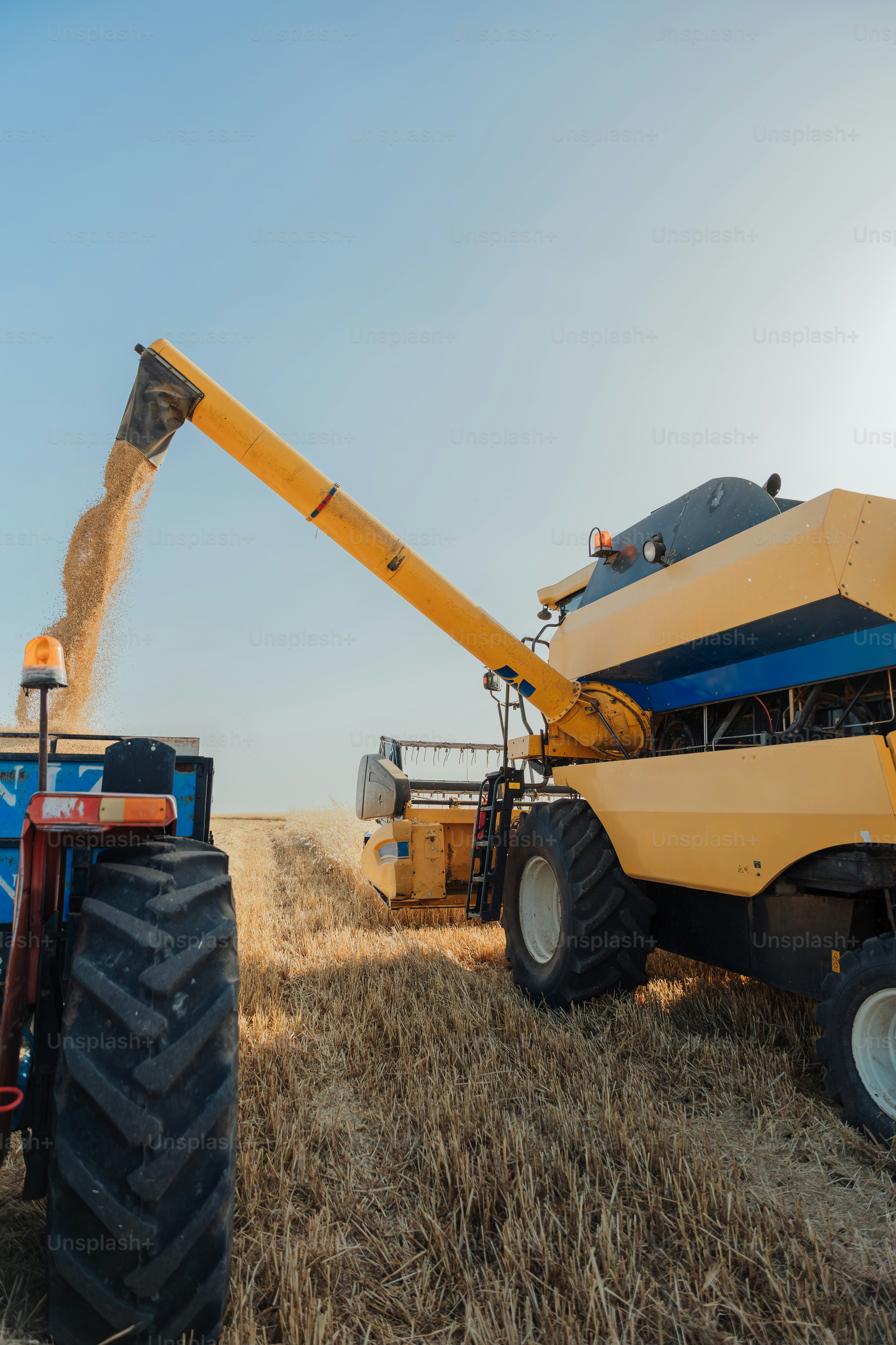 New Holland, North Carolina