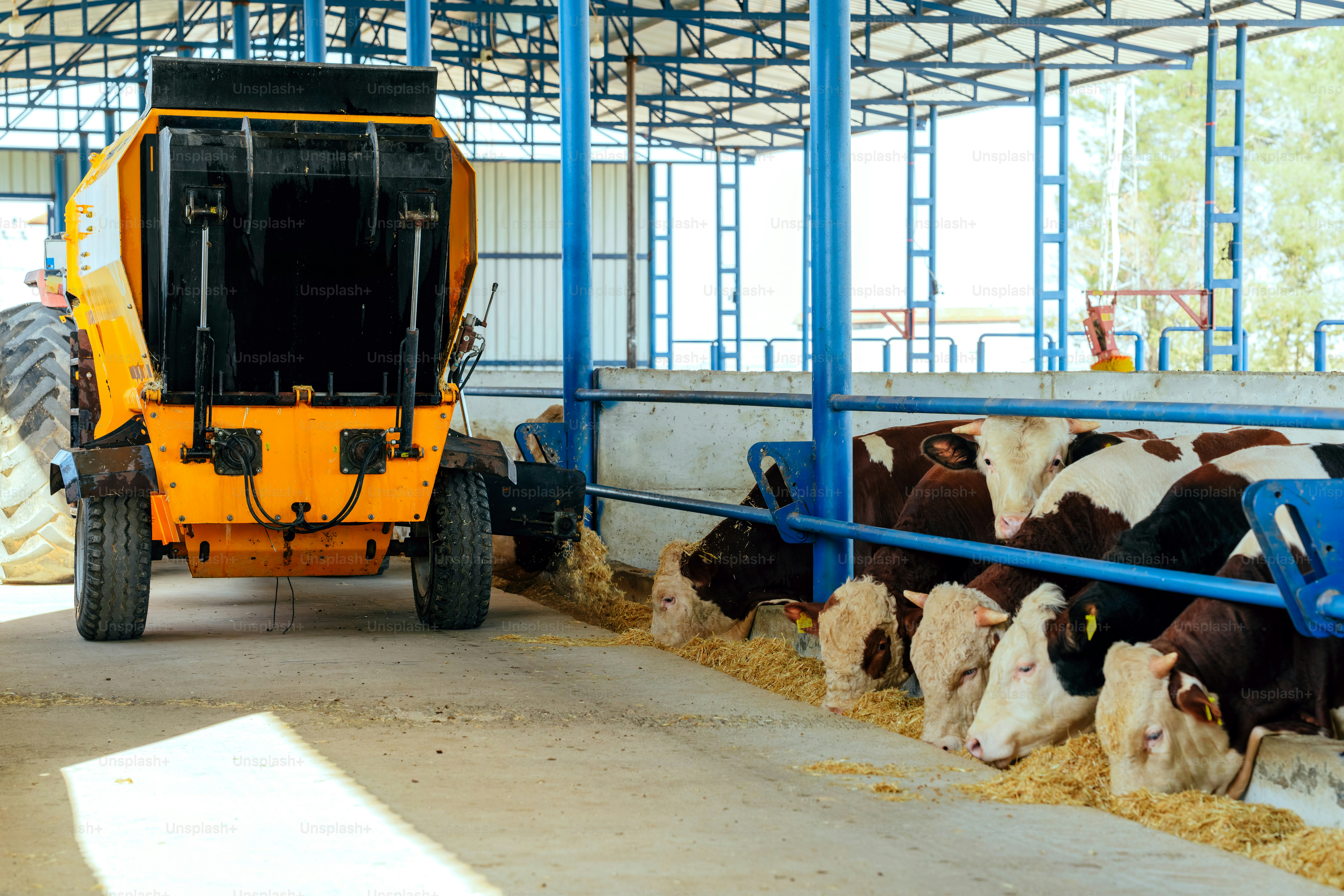 premium_photo-1758738818331-92fe9f7b040b?ixid=M3wxMjA3fDB8MXxzZWFyY2h8MTN8fGZhcm0lMjBleHBvcnQlMjBzZXJ2aWNlc3xlbnwwfHx8fDE3Njk4NjIyMzl8MA\u0026ixlib=rb-4.1.0