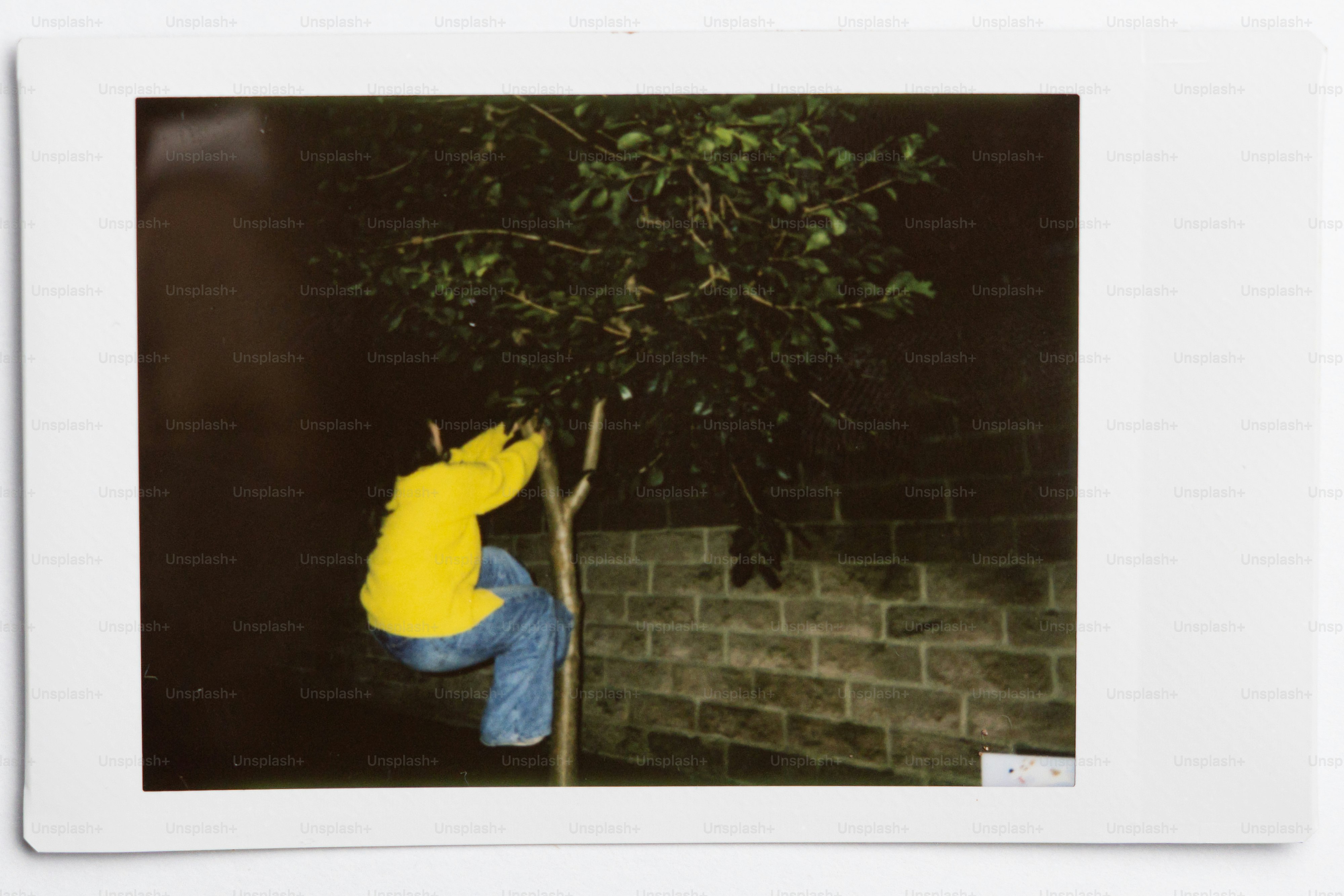 Person in yellow jacket climbing a tree at night