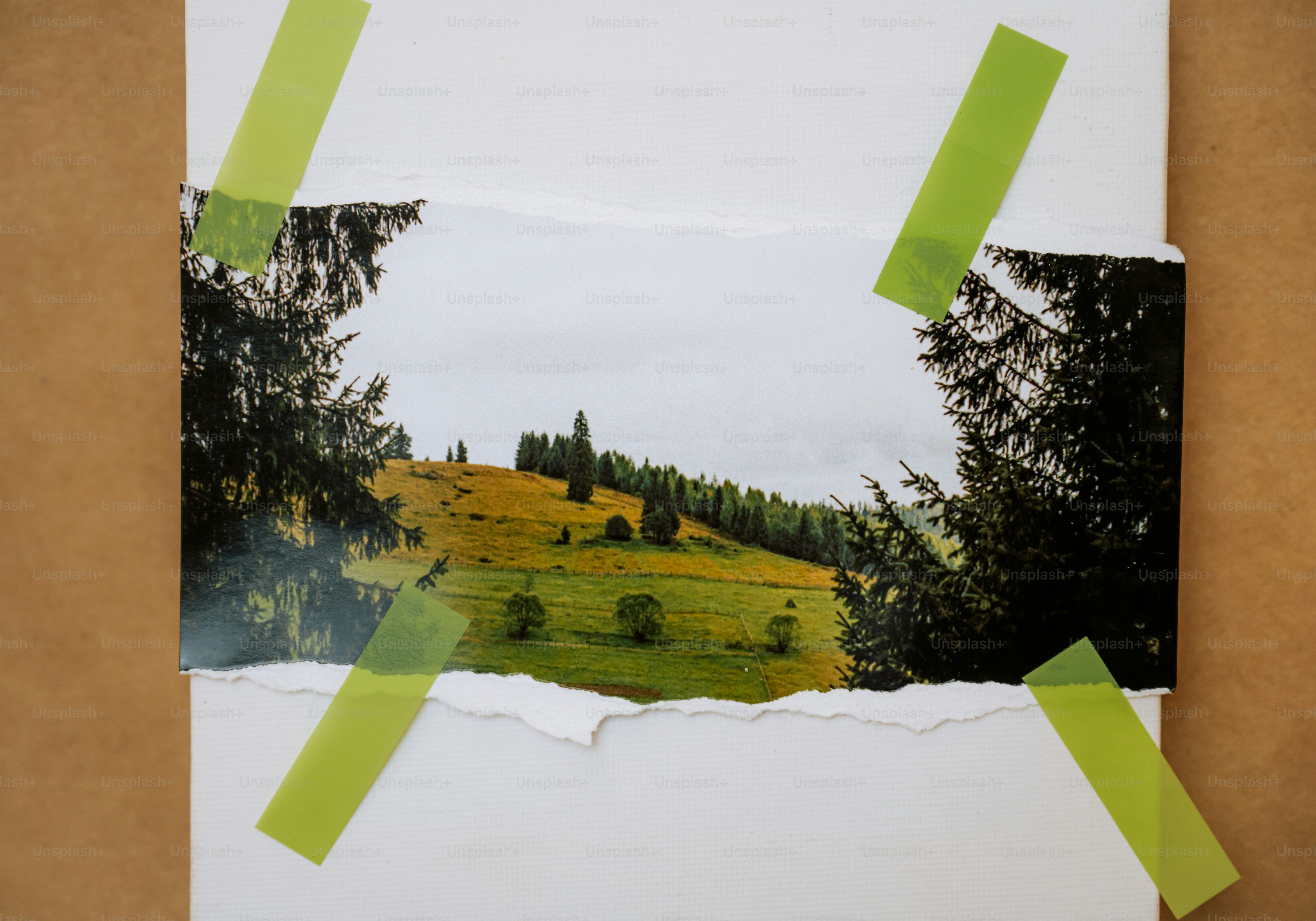 El papel rasgado revela una ladera verde con árboles