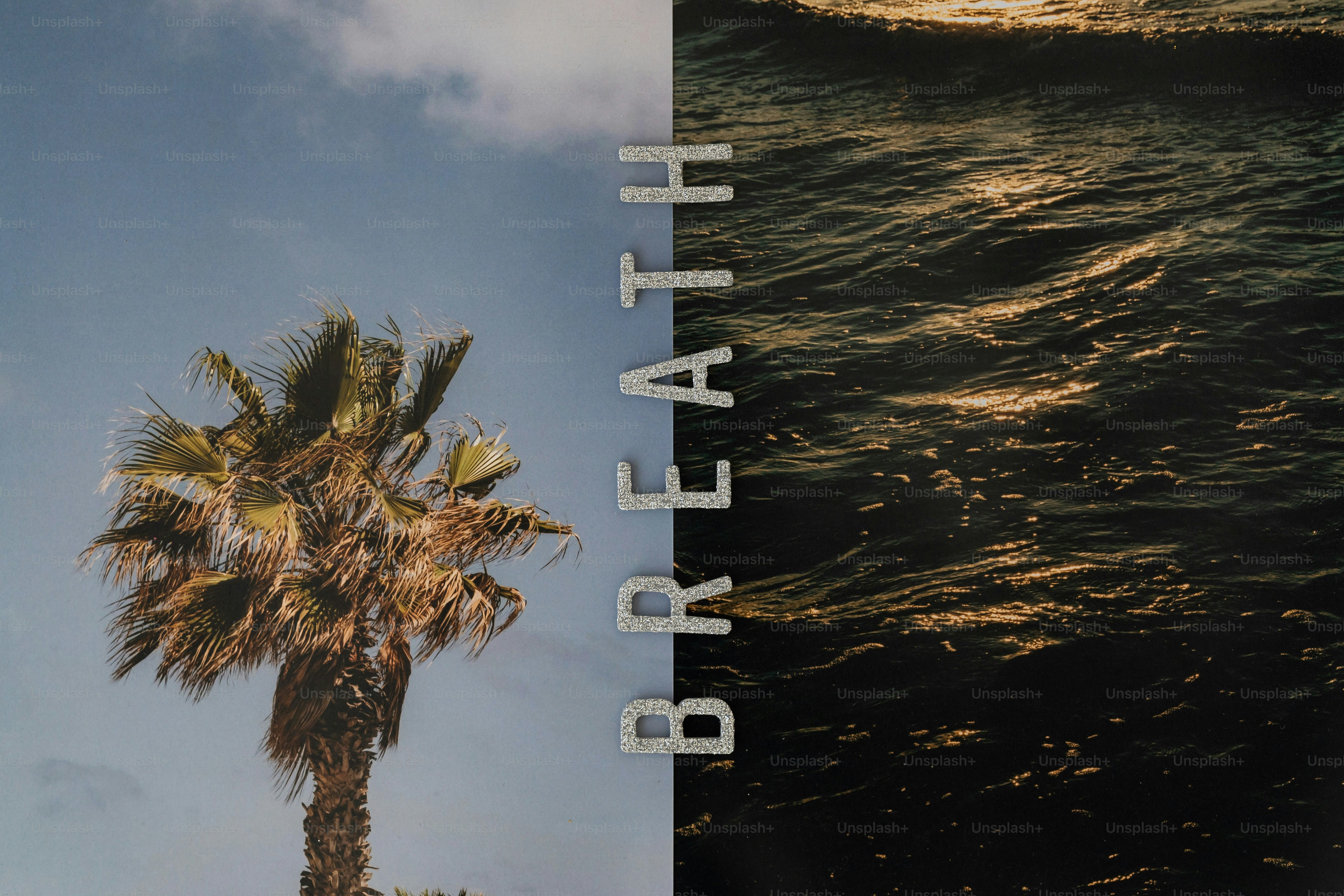 Palm tree and ocean waves with word breath