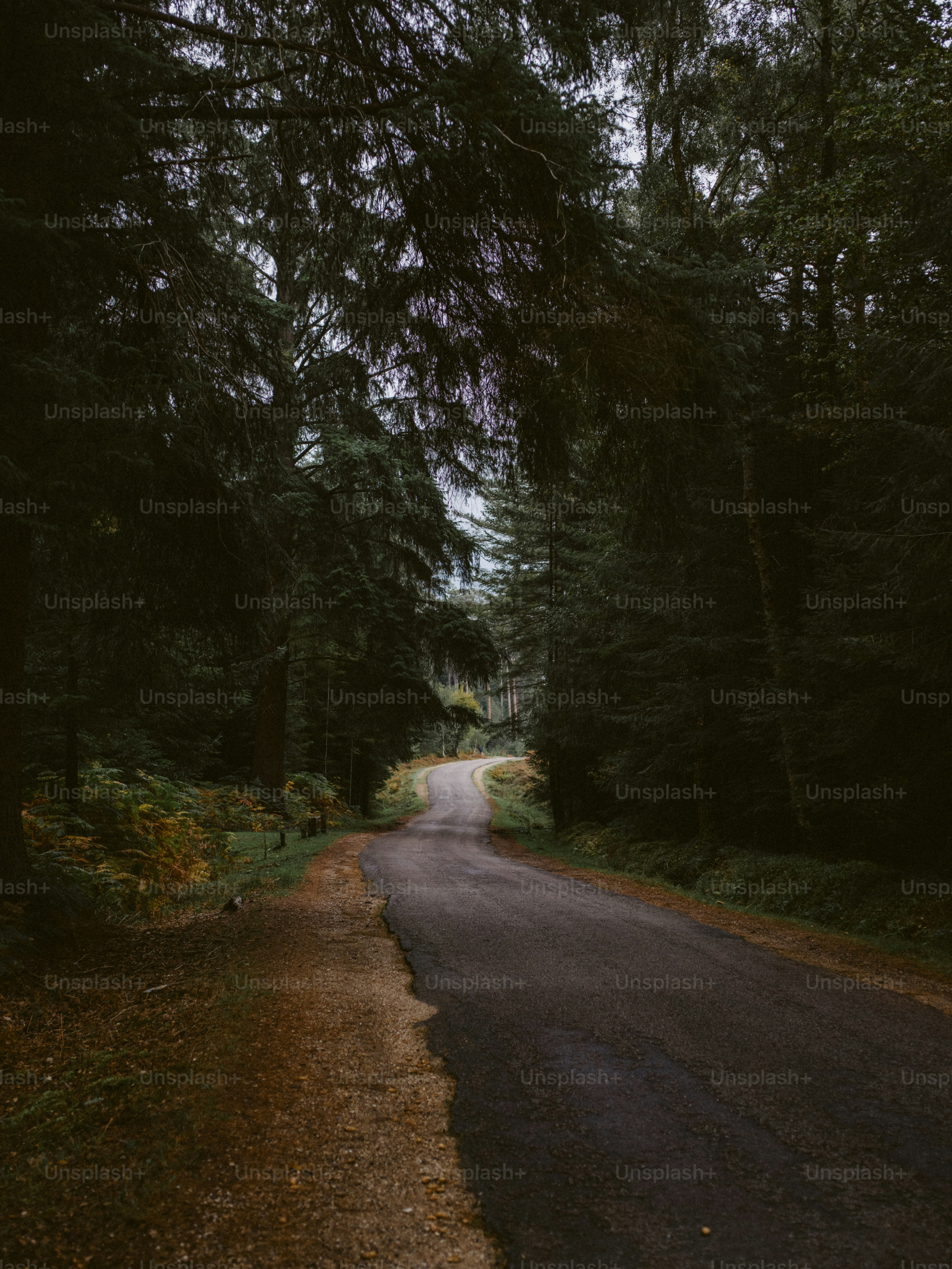 We Are the Possible anthology COP30 Brazil v8 by University of Exeter -  Issuu, image size:3000x4000