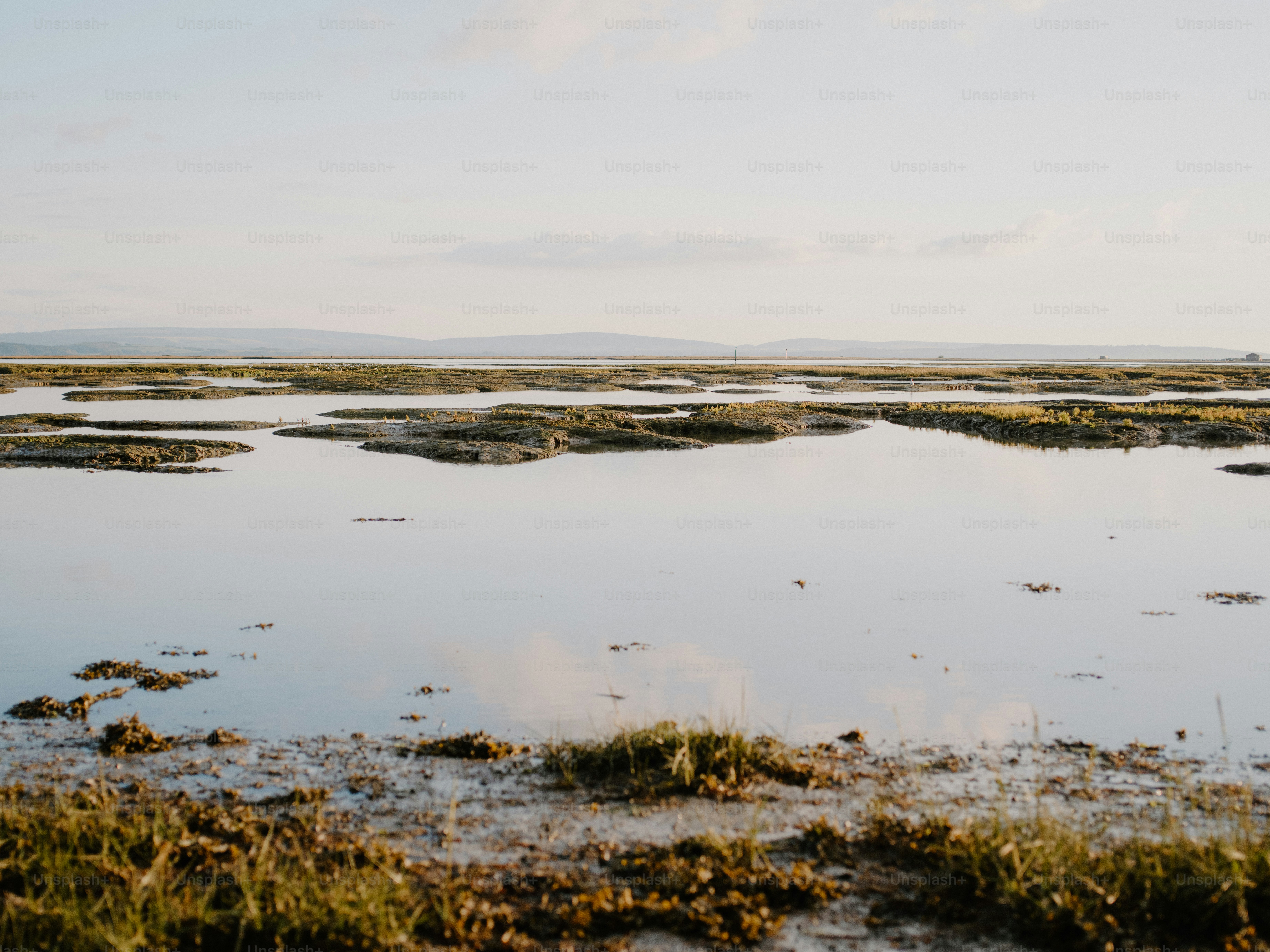 Calm water reflects the sky and distant hills. photo – Sea Image on ...