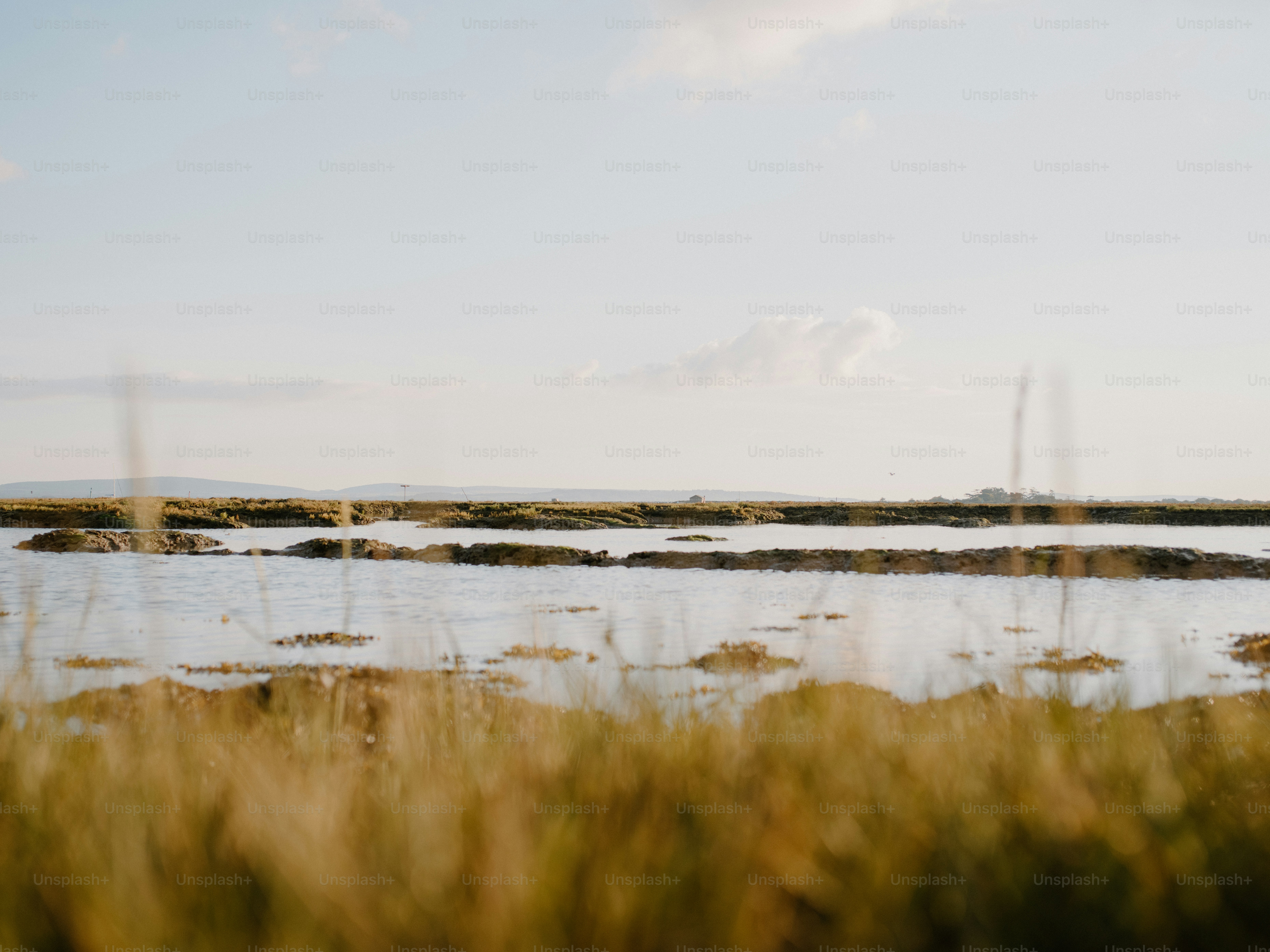 Calm water reflects the sky and distant hills. photo – Sea Image on ...