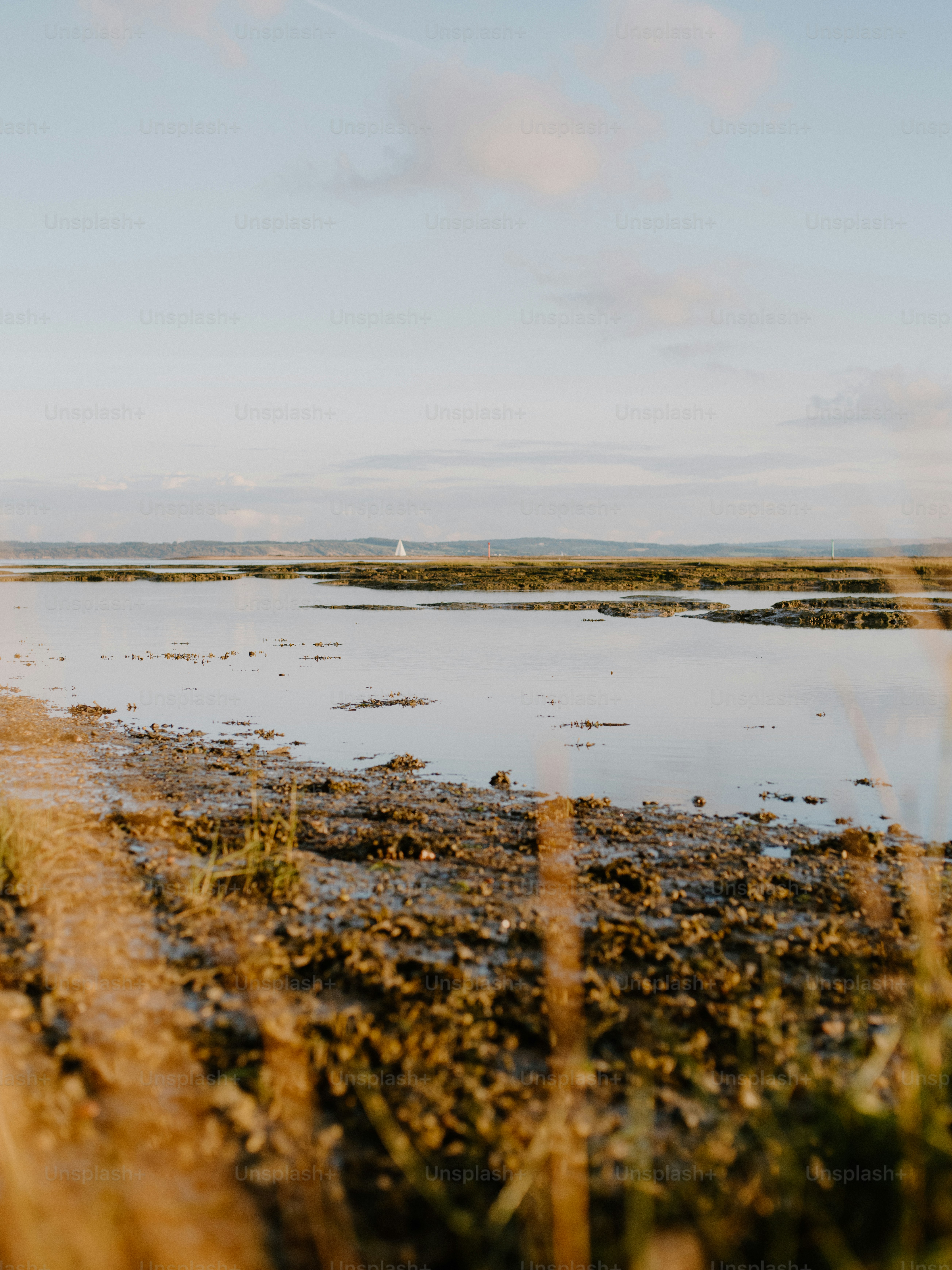 Calm water reflects the sky and distant hills. photo – Sea Image on ...