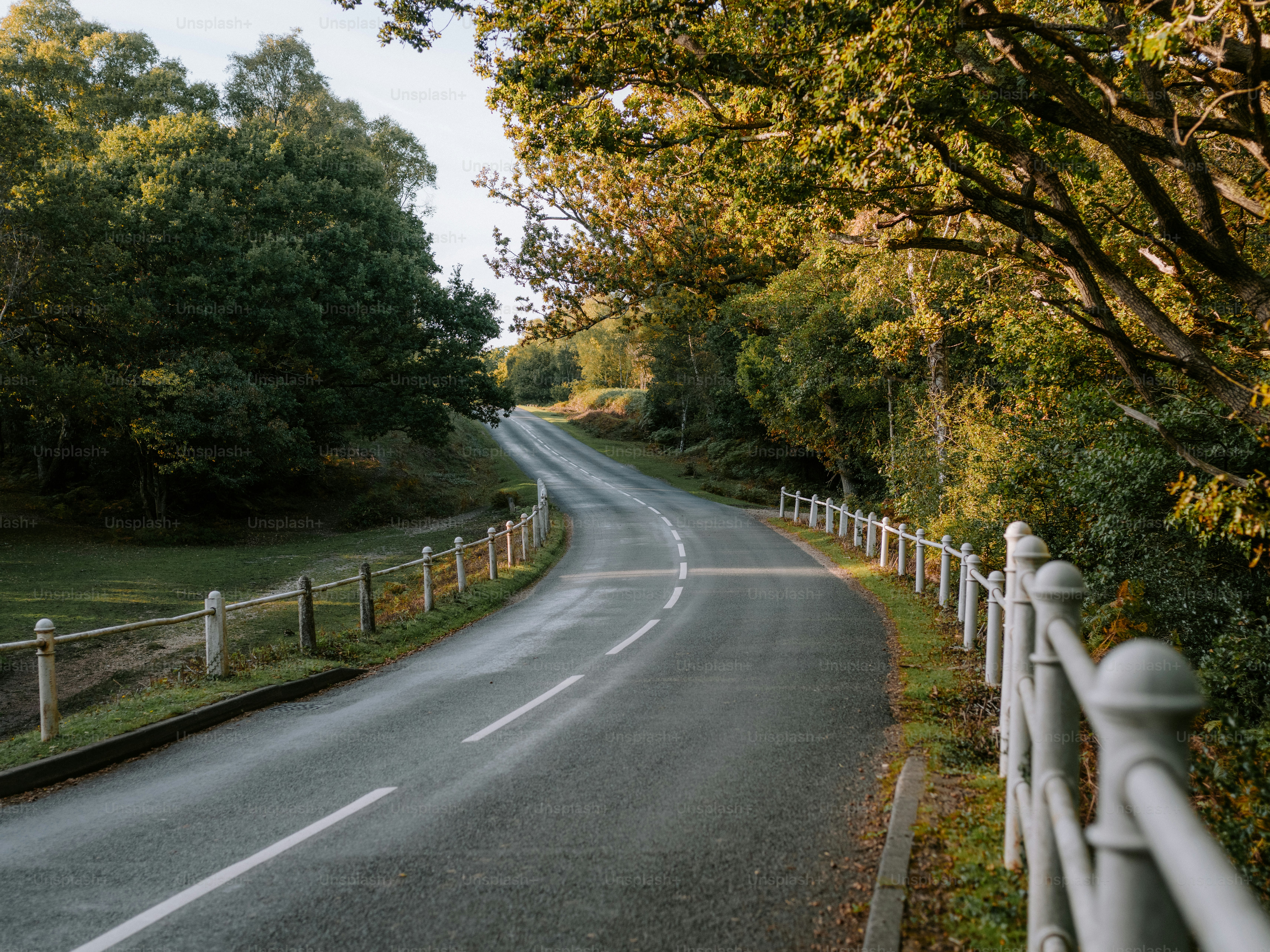A winding road through a sunlit forest with white fences. photo ...