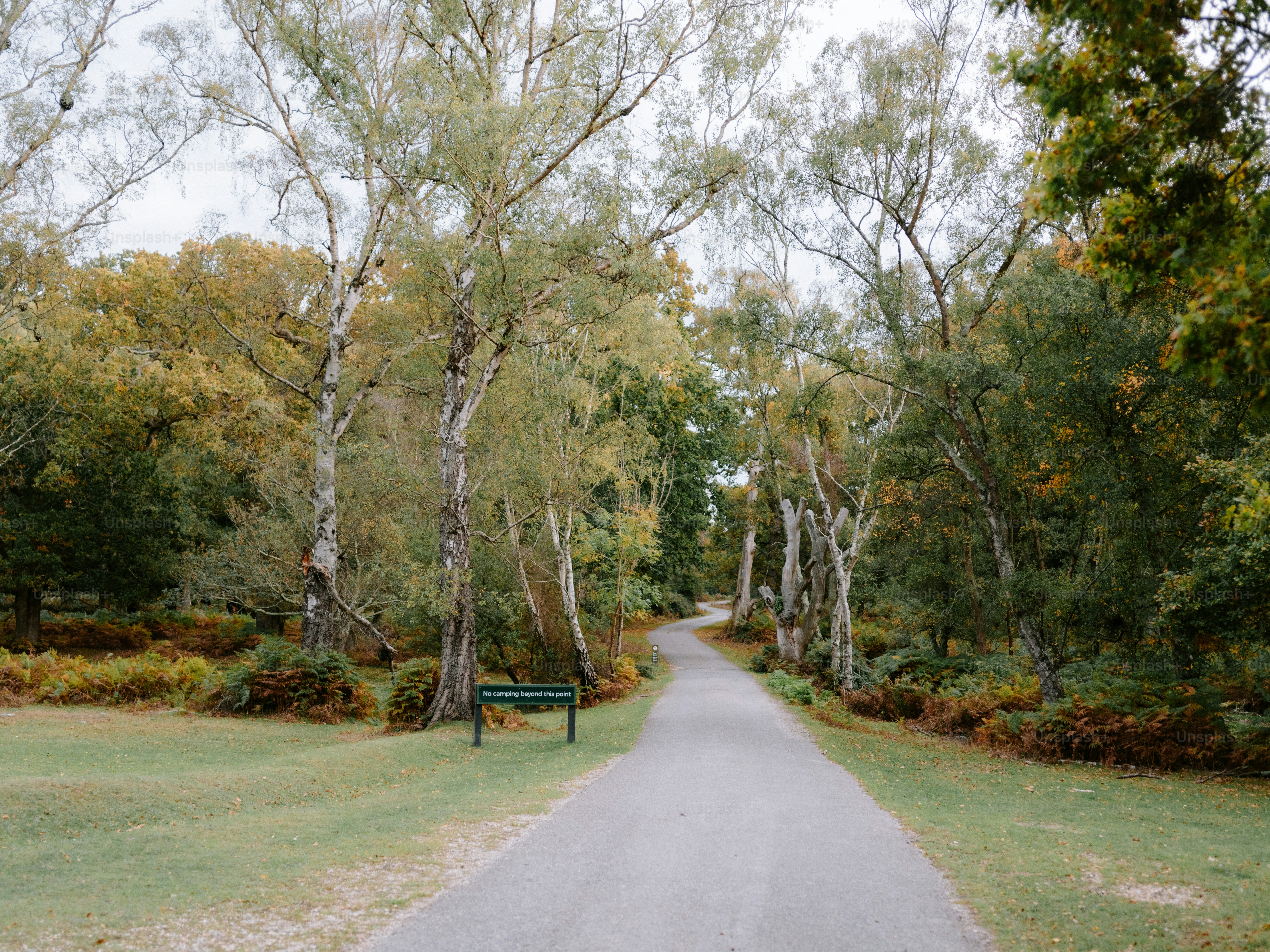 Lane Cove, New South Wales