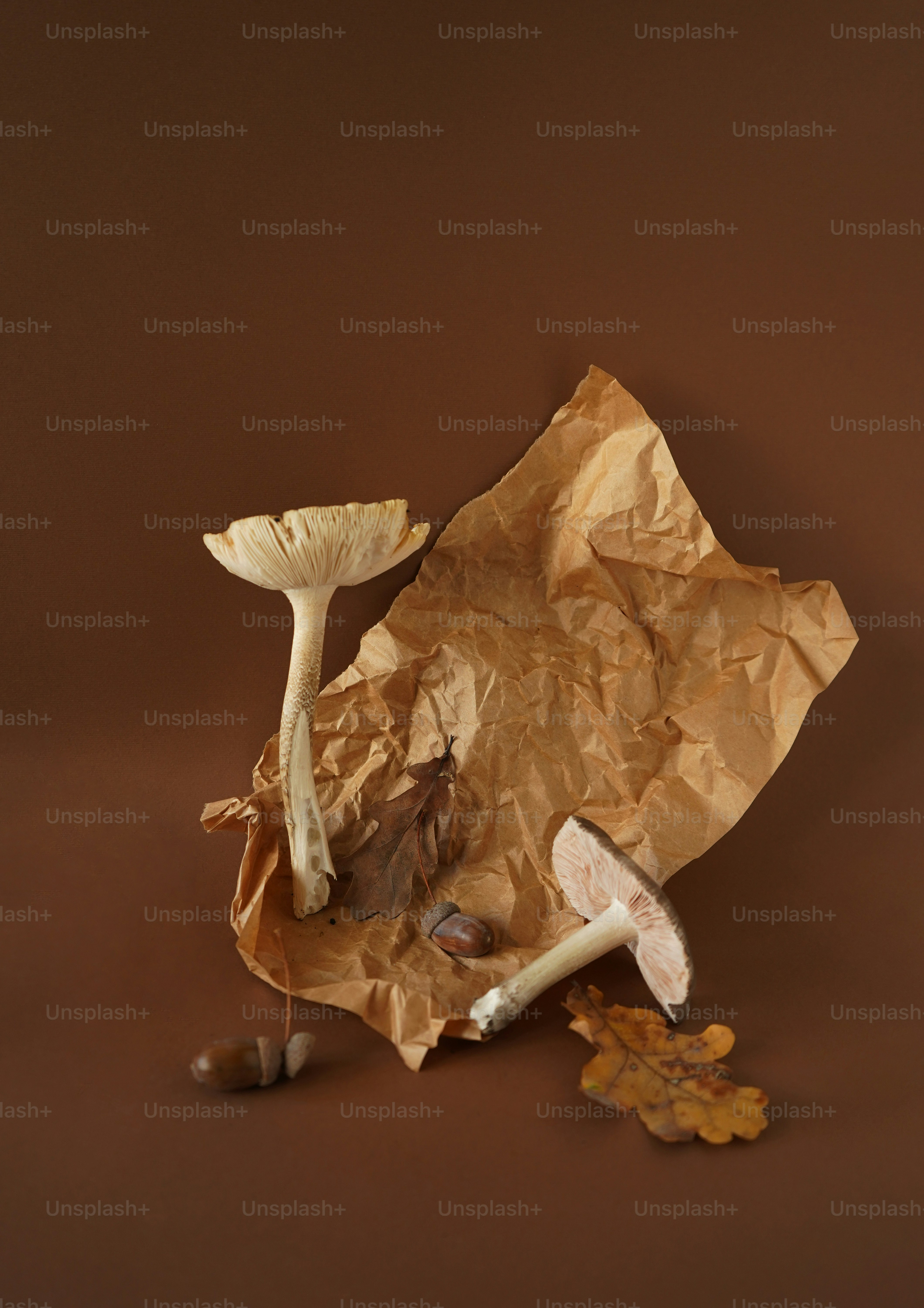 Cogumelos e folhas de outono em fundo marrom.