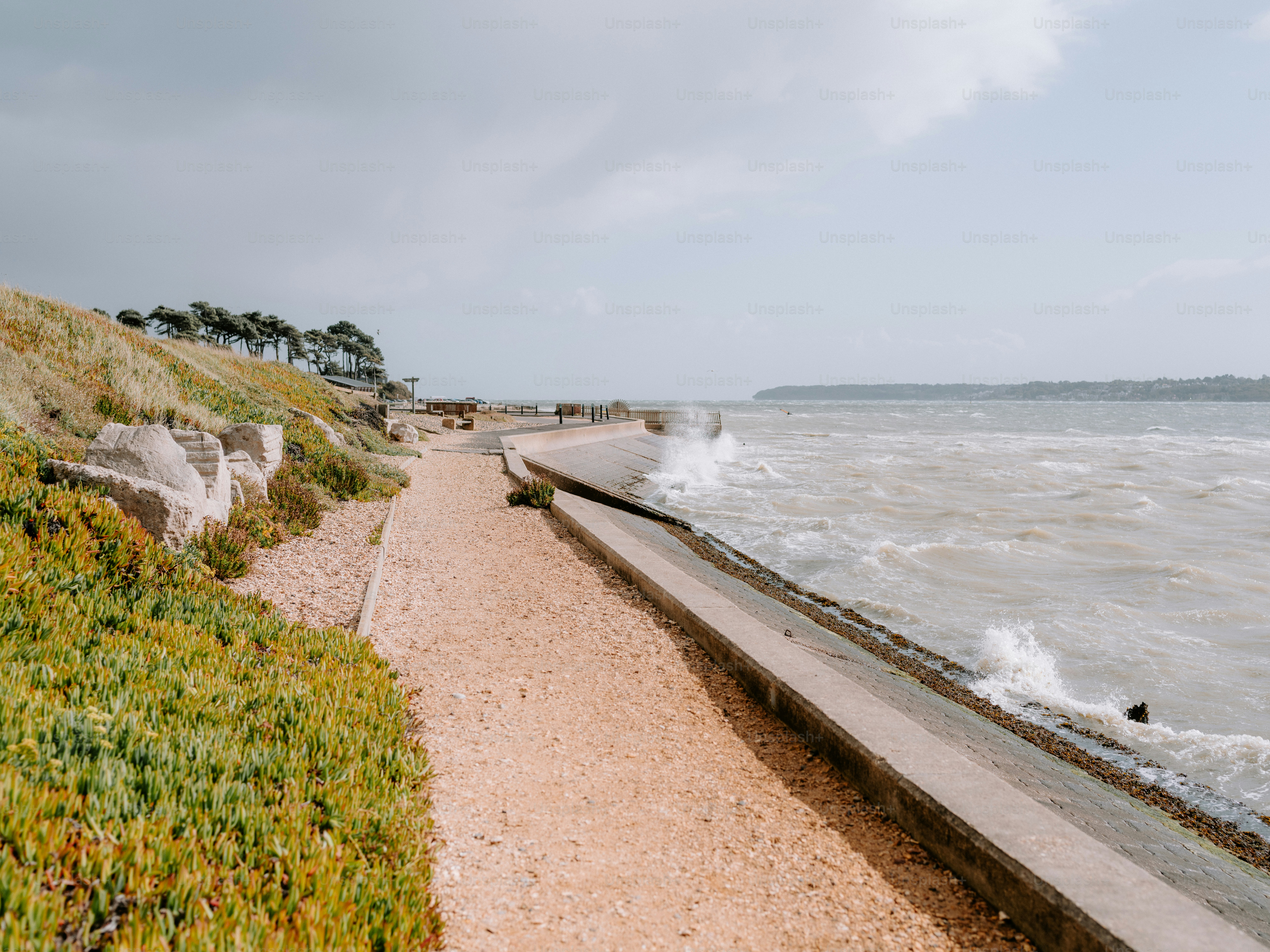 Coastal path next to the choppy sea with trees.