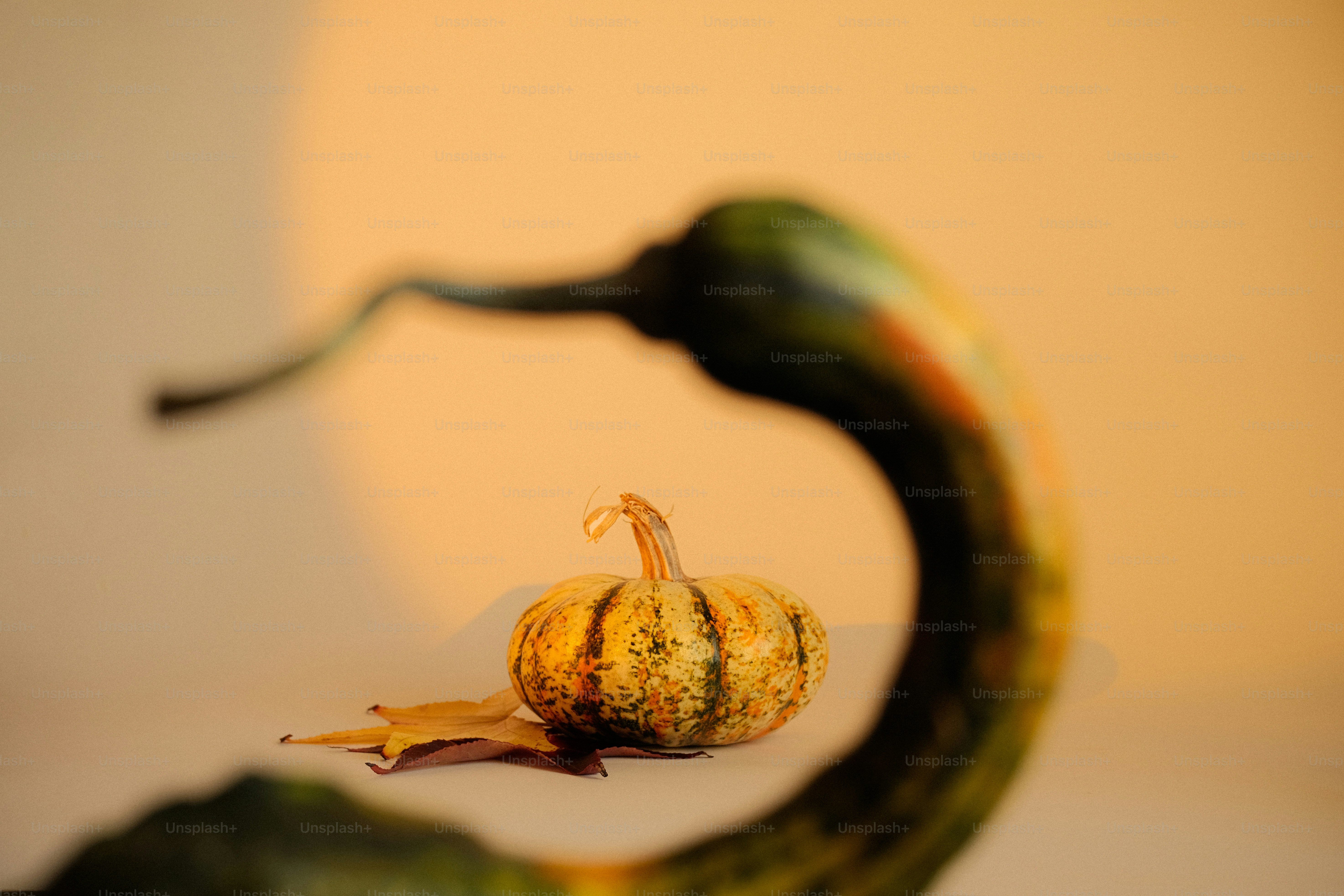 A small striped gourd with a long green gourd.