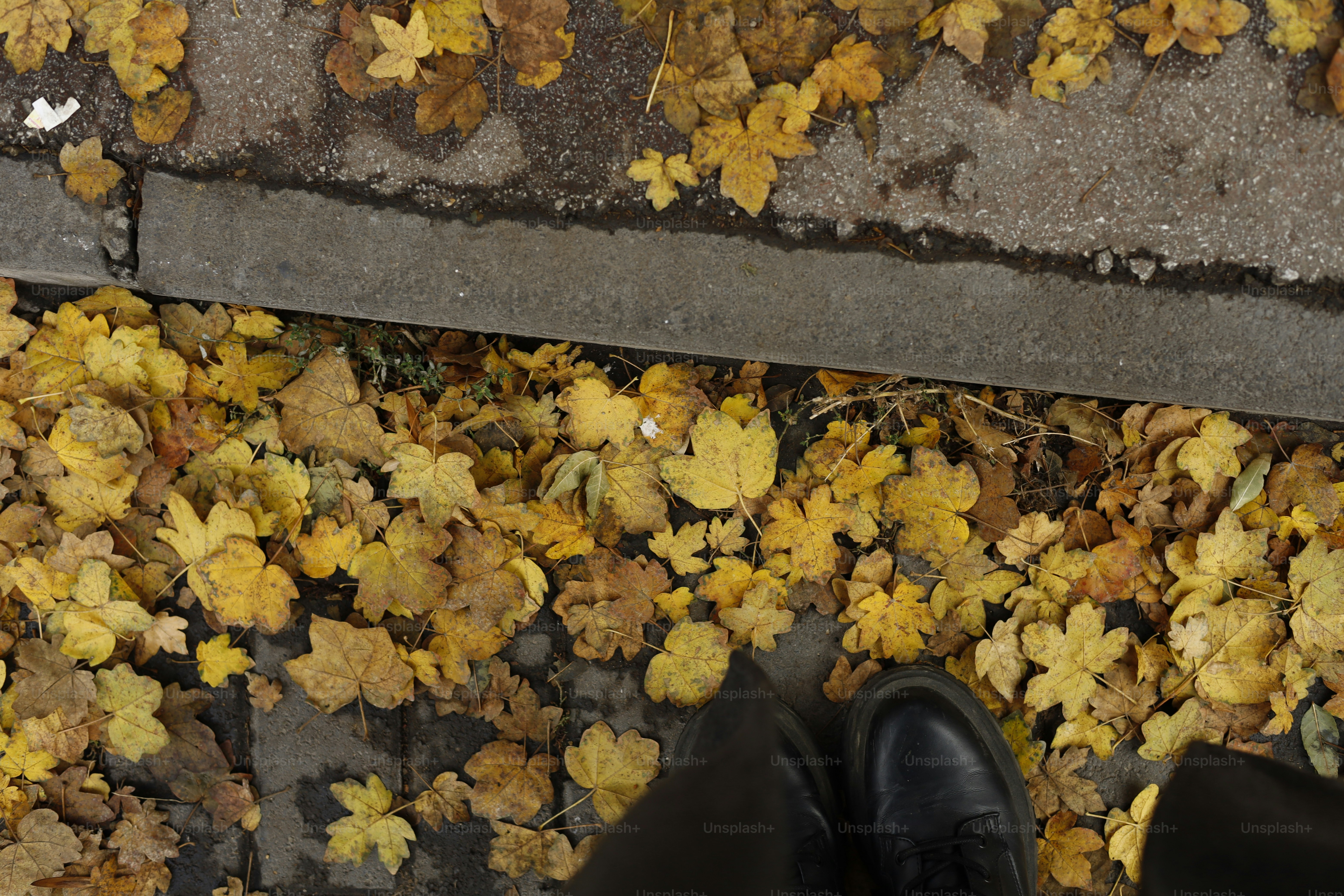 Folhas de outono caídas em uma calçada com sapatos.
