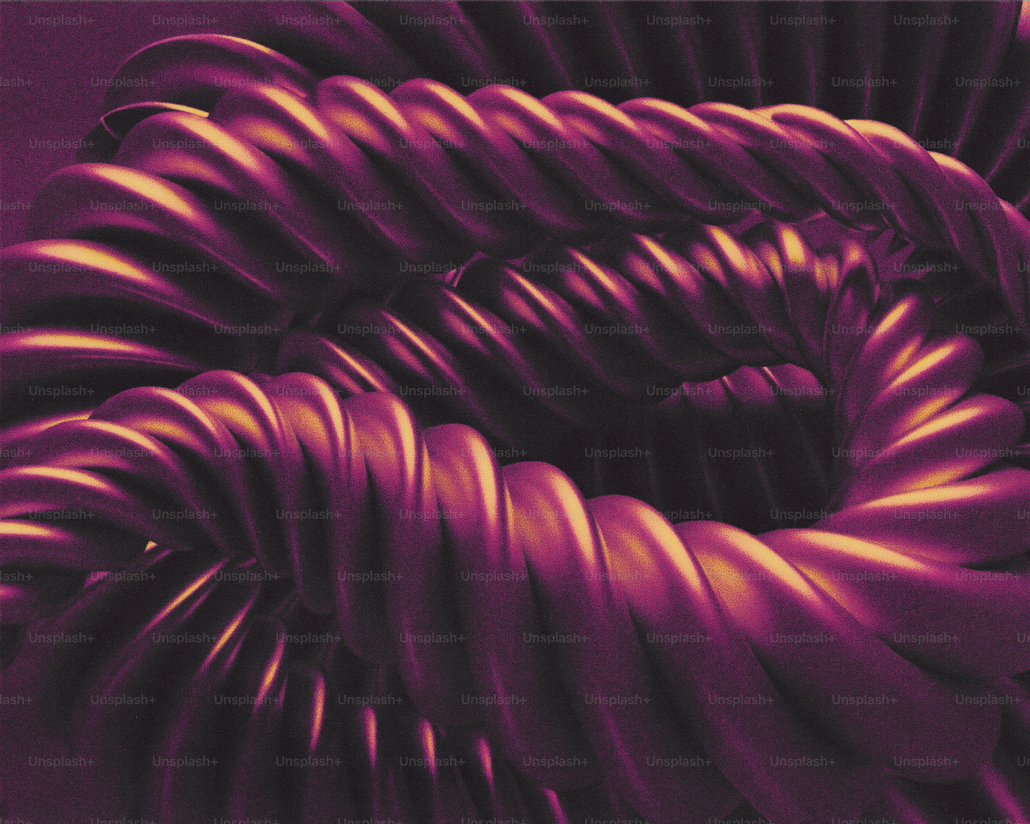 Close-up of a coiled purple rope