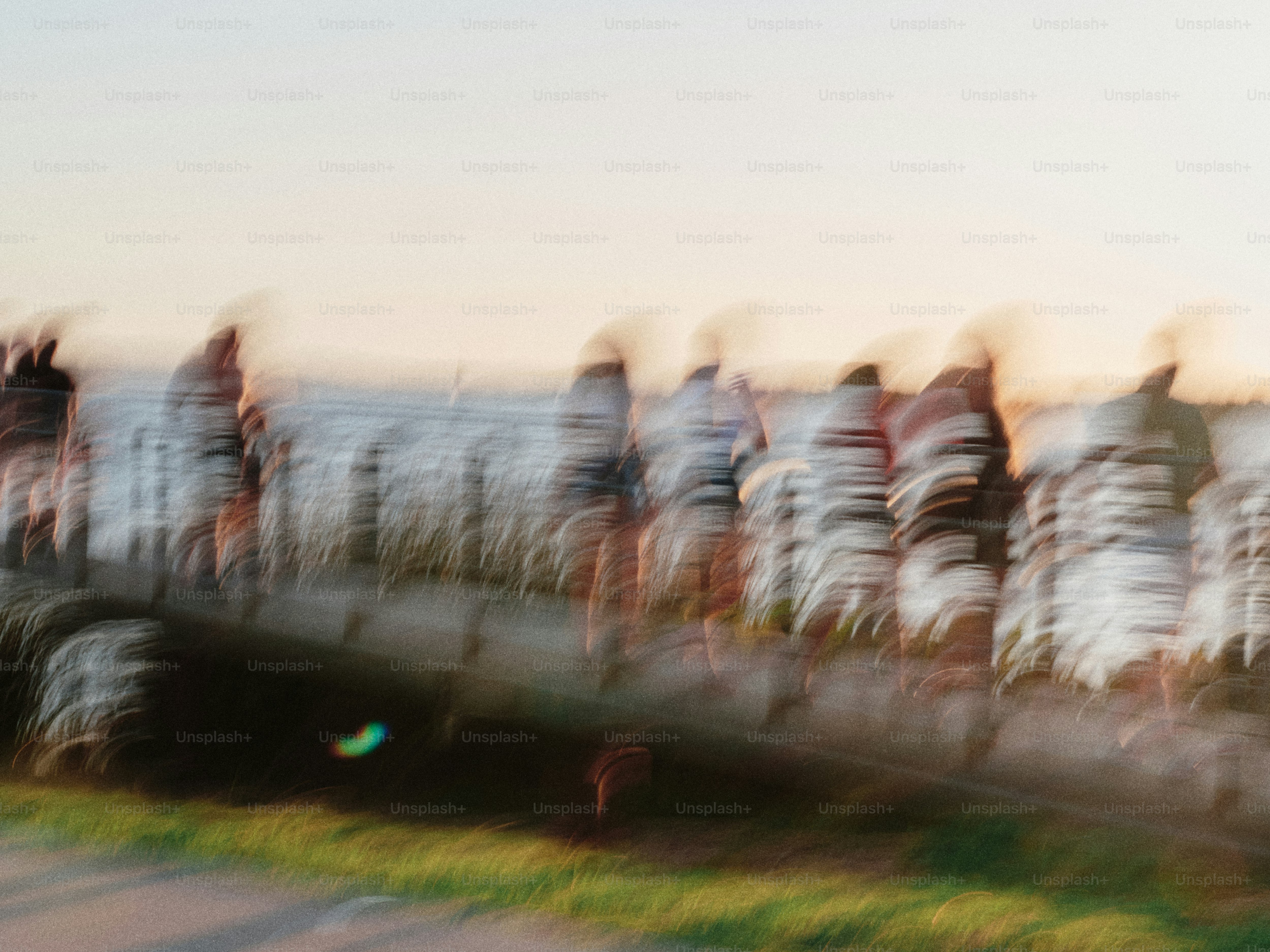 Blurred figures on a walkway by the water