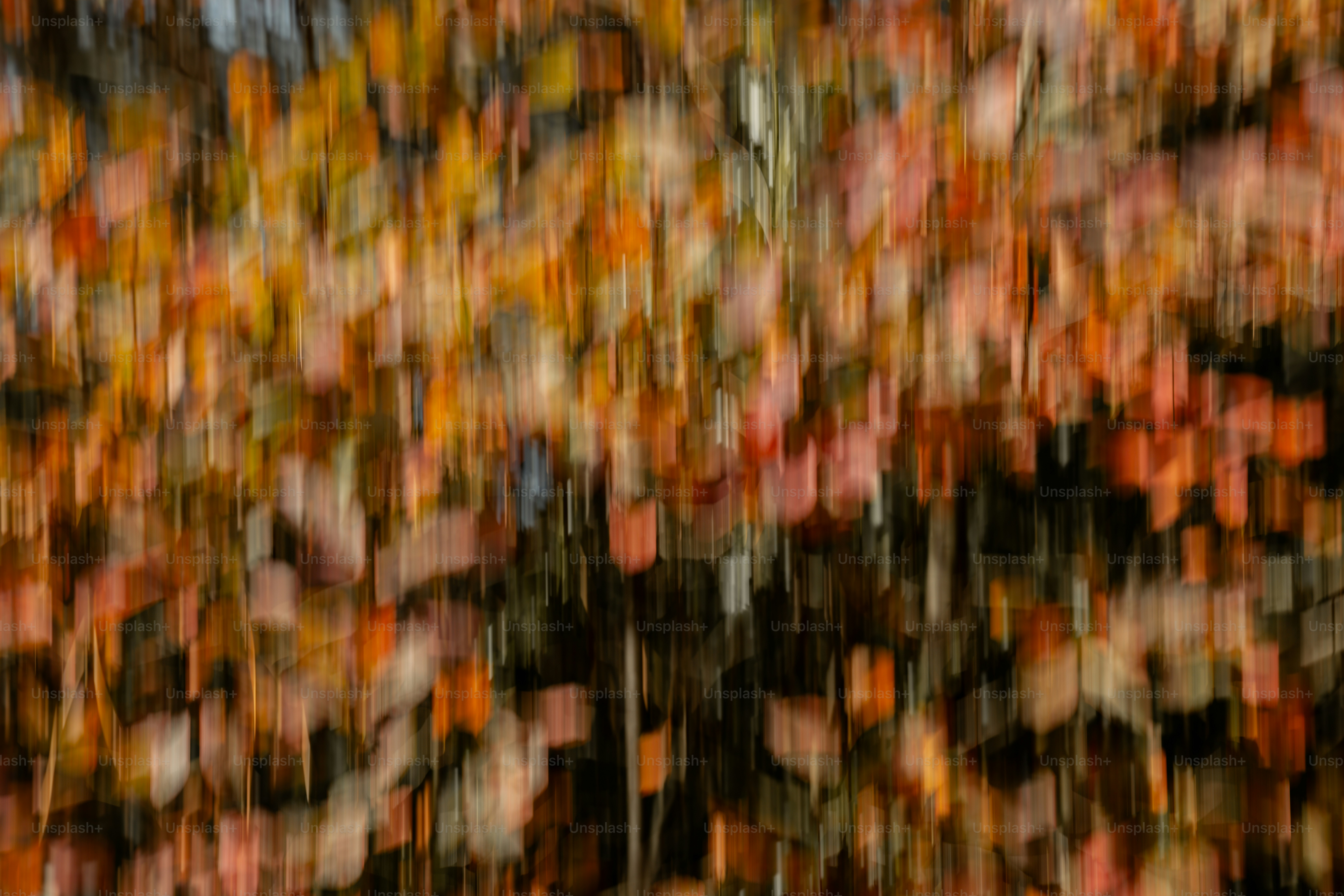 Feuilles d’automne floues aux couleurs chaudes