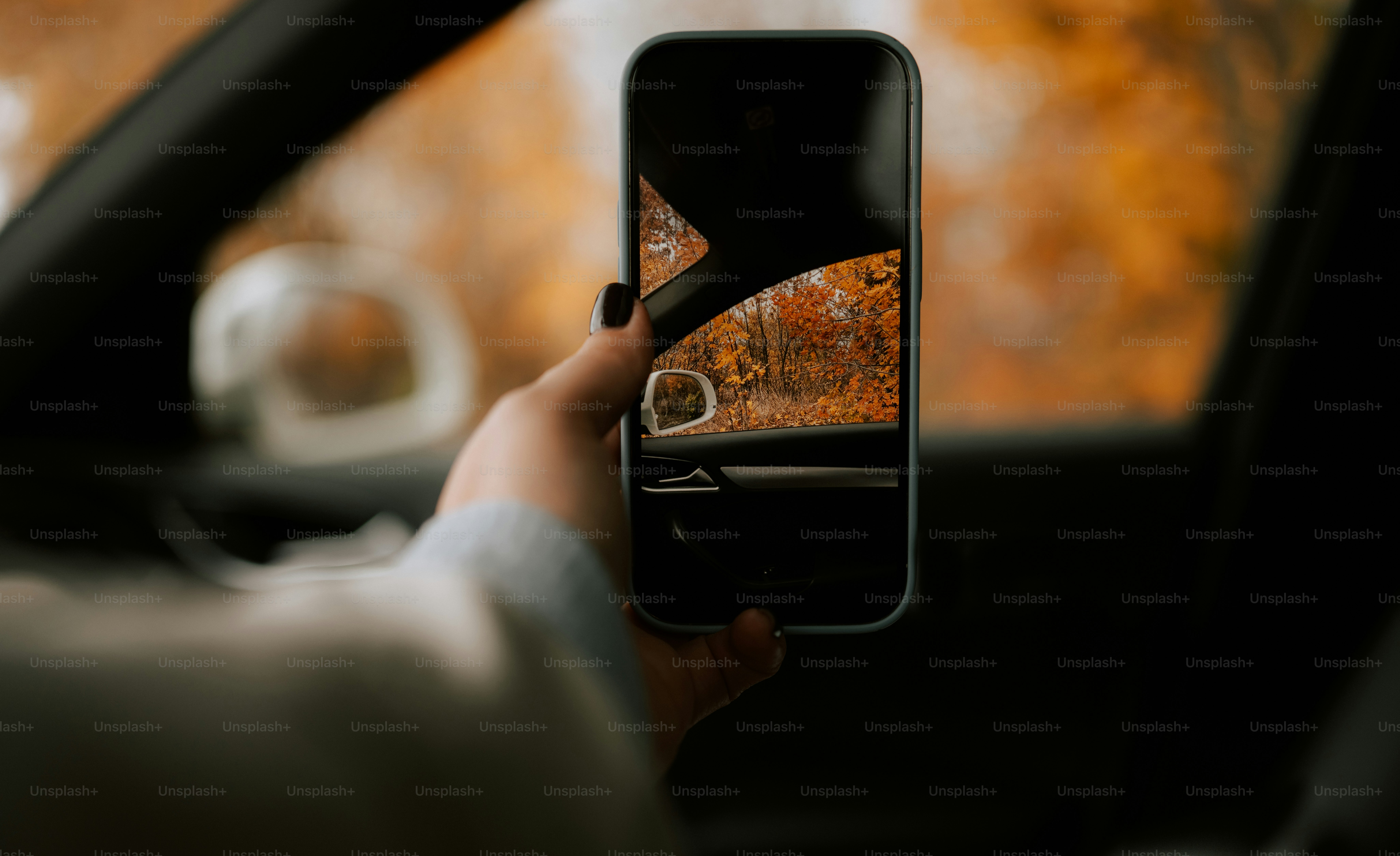 Personne tenant un téléphone montrant les arbres d’automne à travers la fenêtre de la voiture