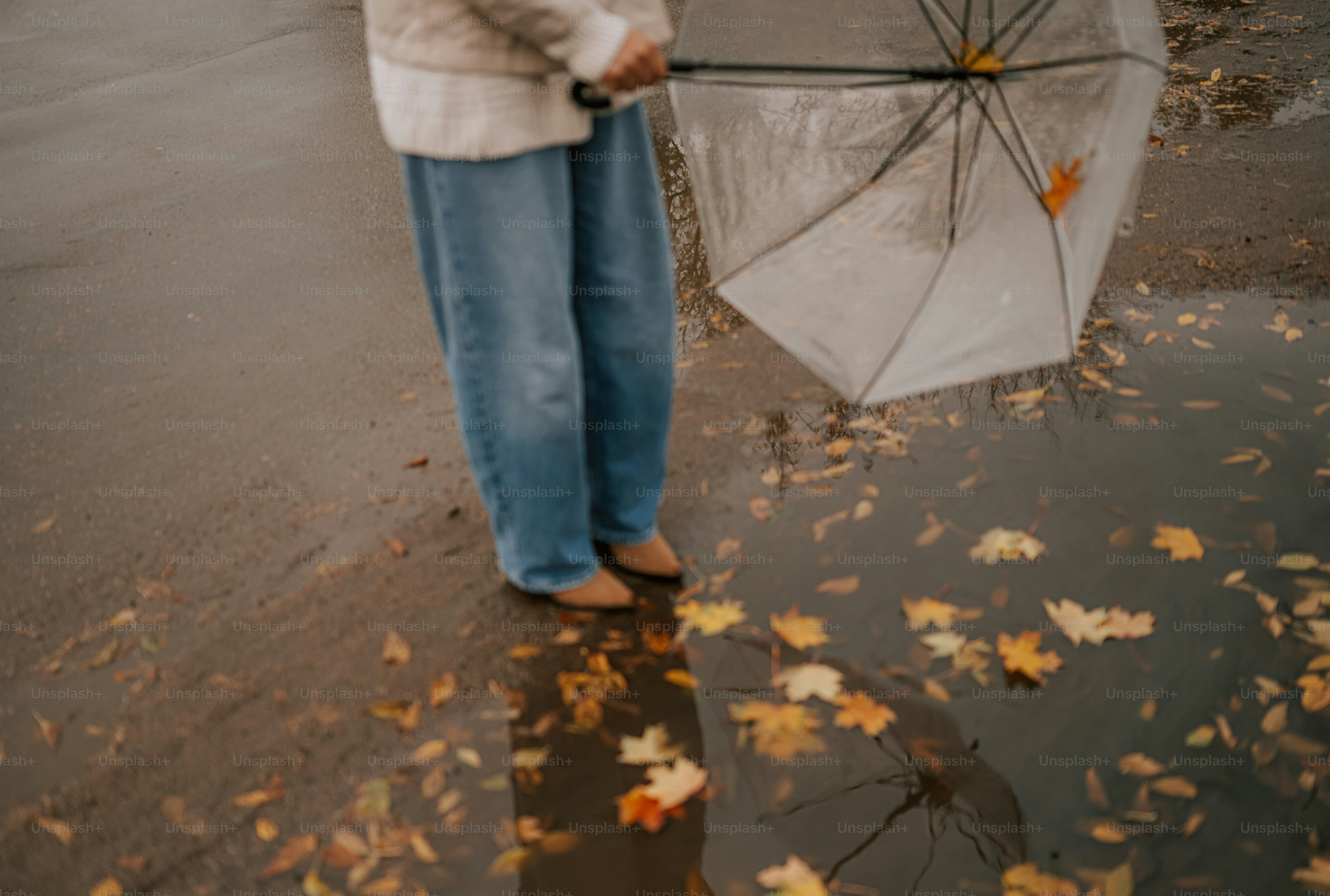 Personne tenant un parapluie près des feuilles d’automne tombées