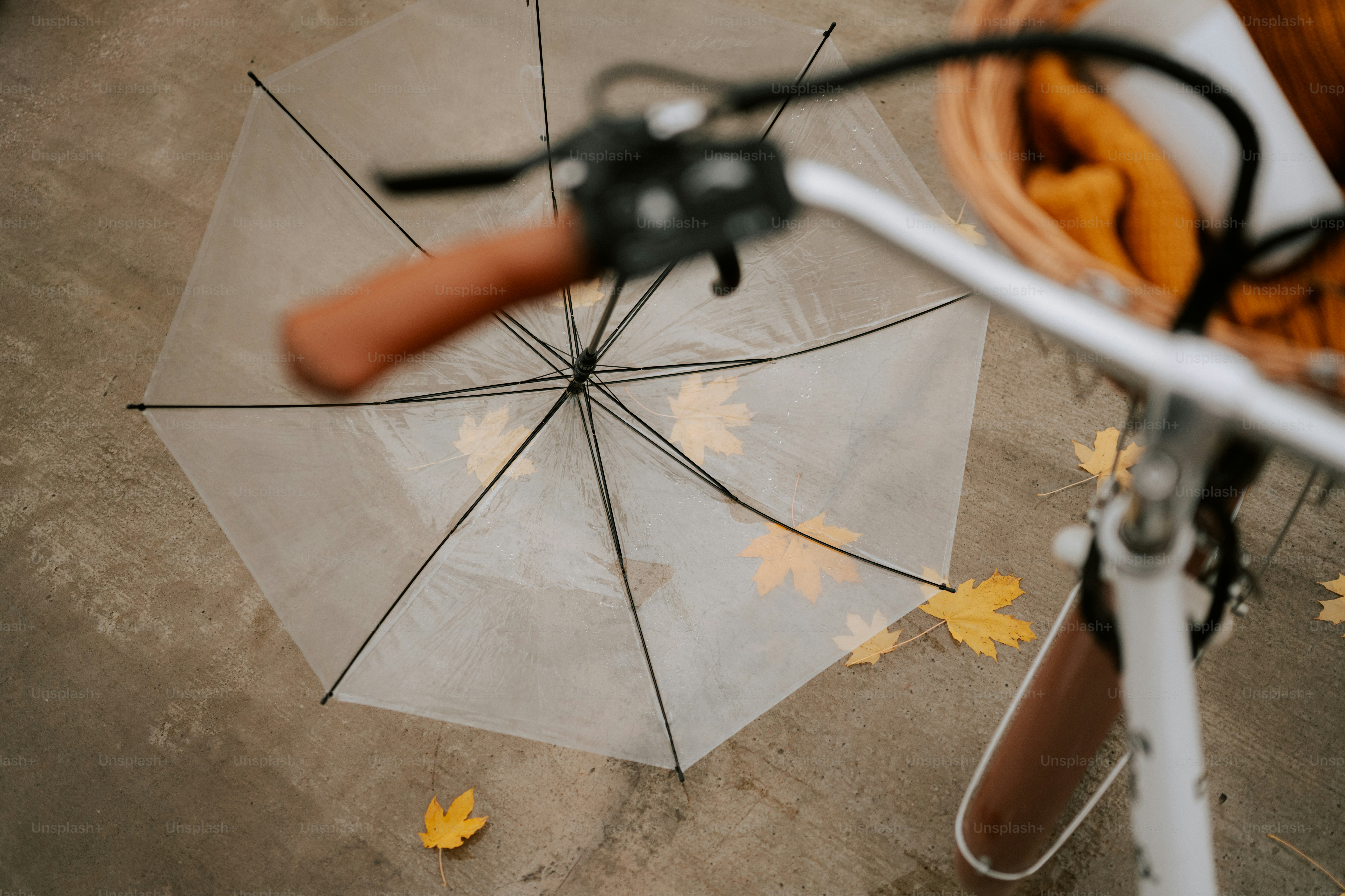 Guidon de vélo avec parapluie et feuilles d’automne mortes