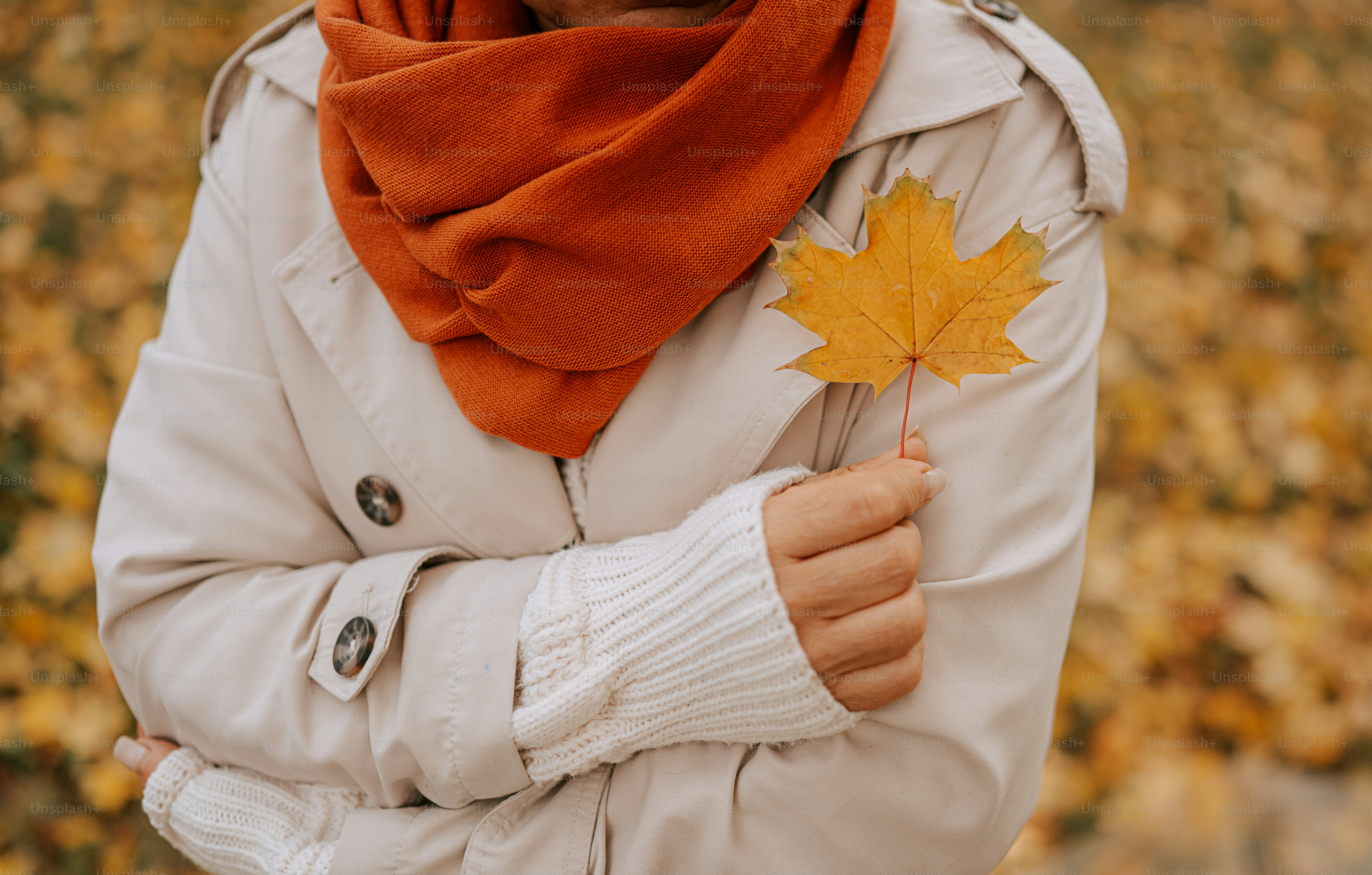 Personne tenant une feuille d’érable jaune en automne