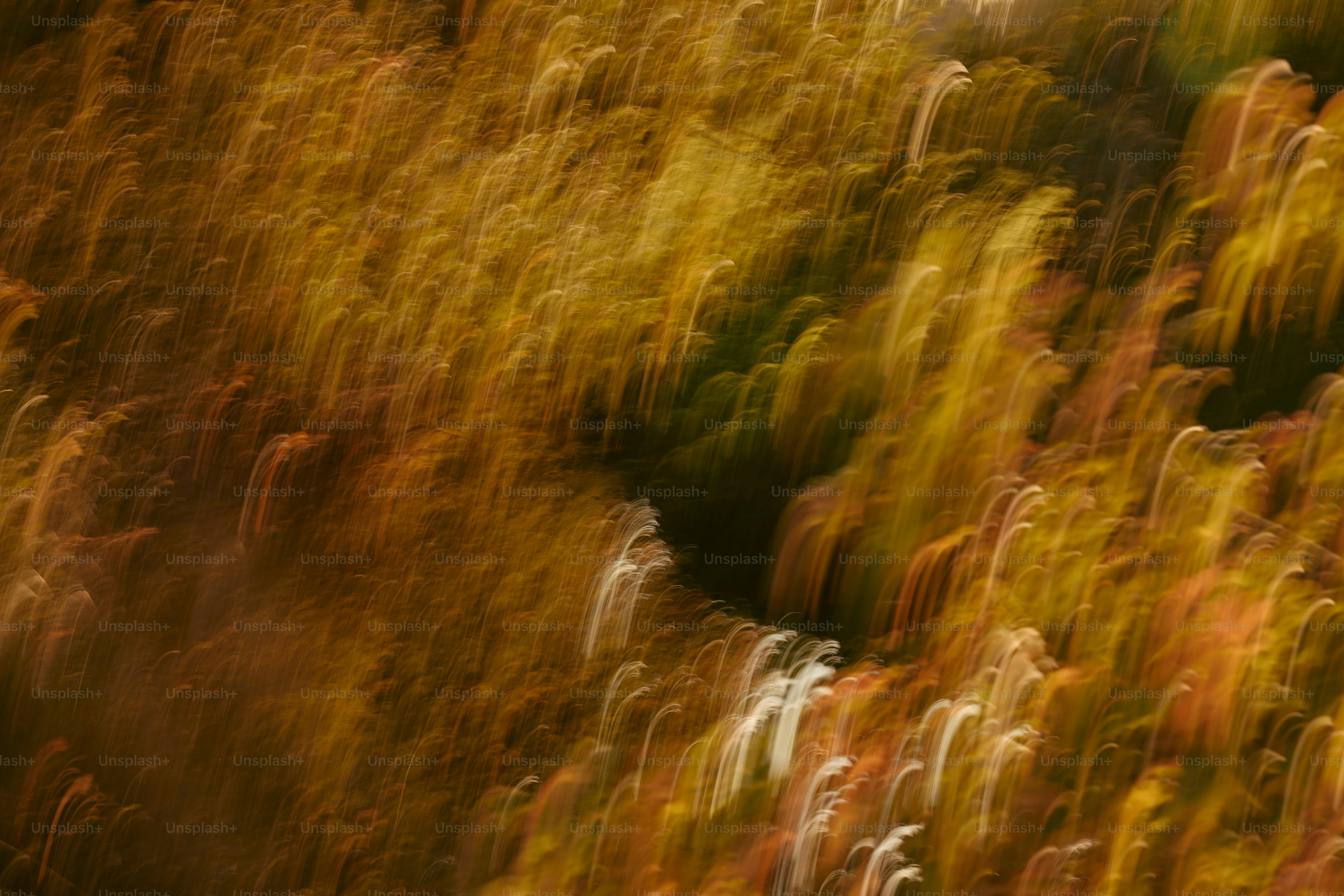 Abstract autumn foliage with streaks of color photo – Texture Image on ...