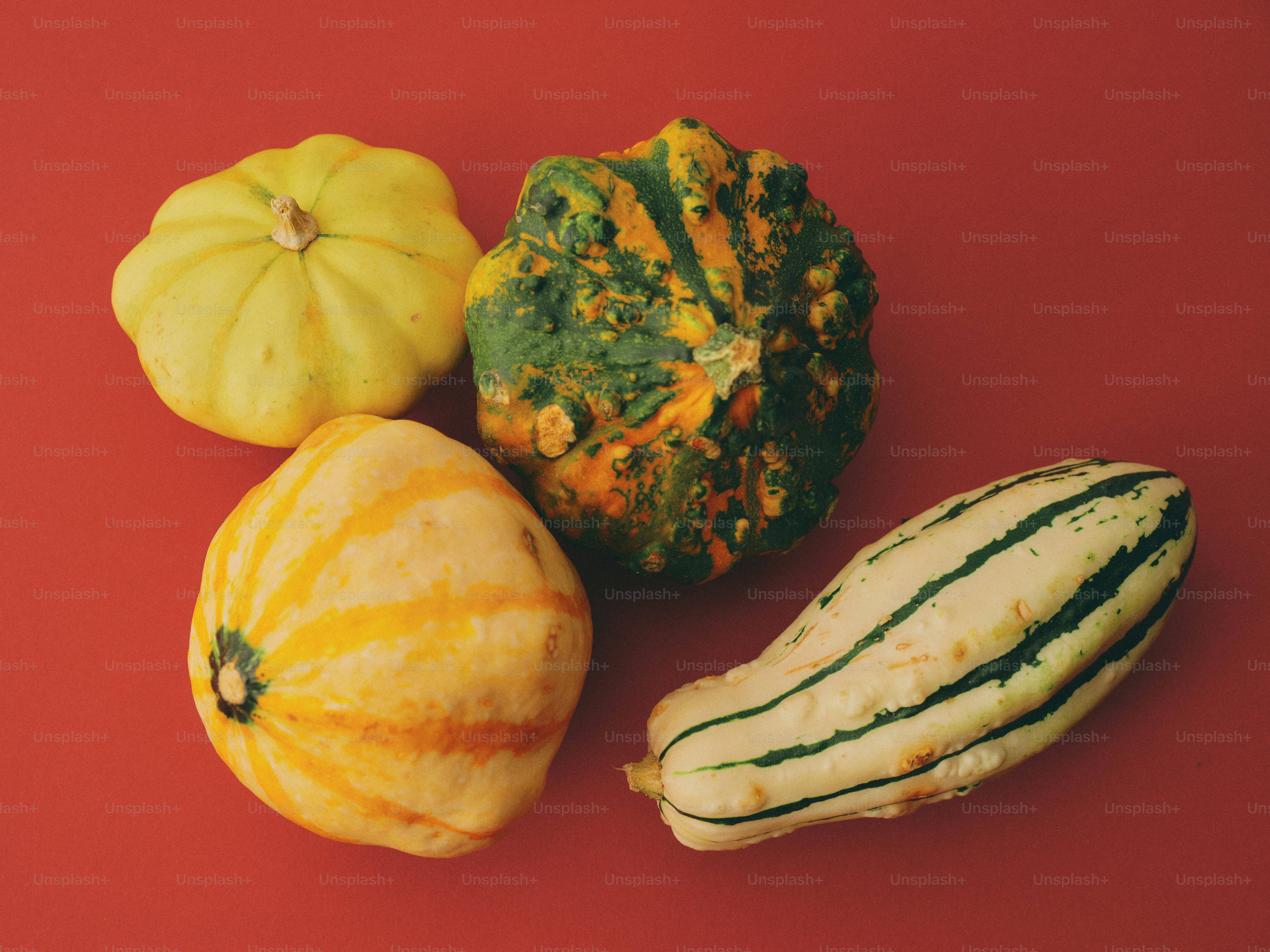 Four colorful gourds arranged on a red surface.