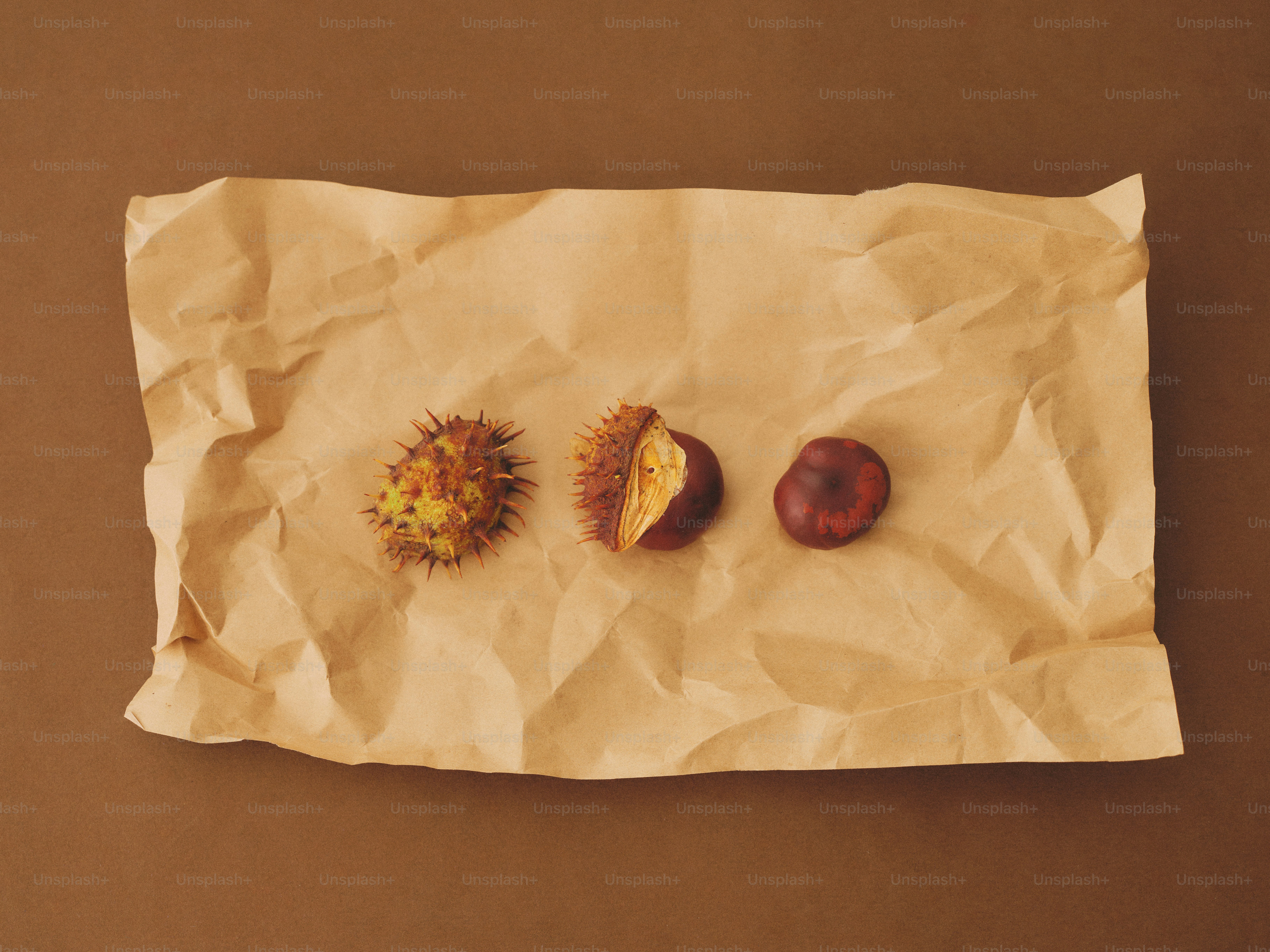 A box filled with fresh, brown chestnuts photo – Autumn Image on Unsplash